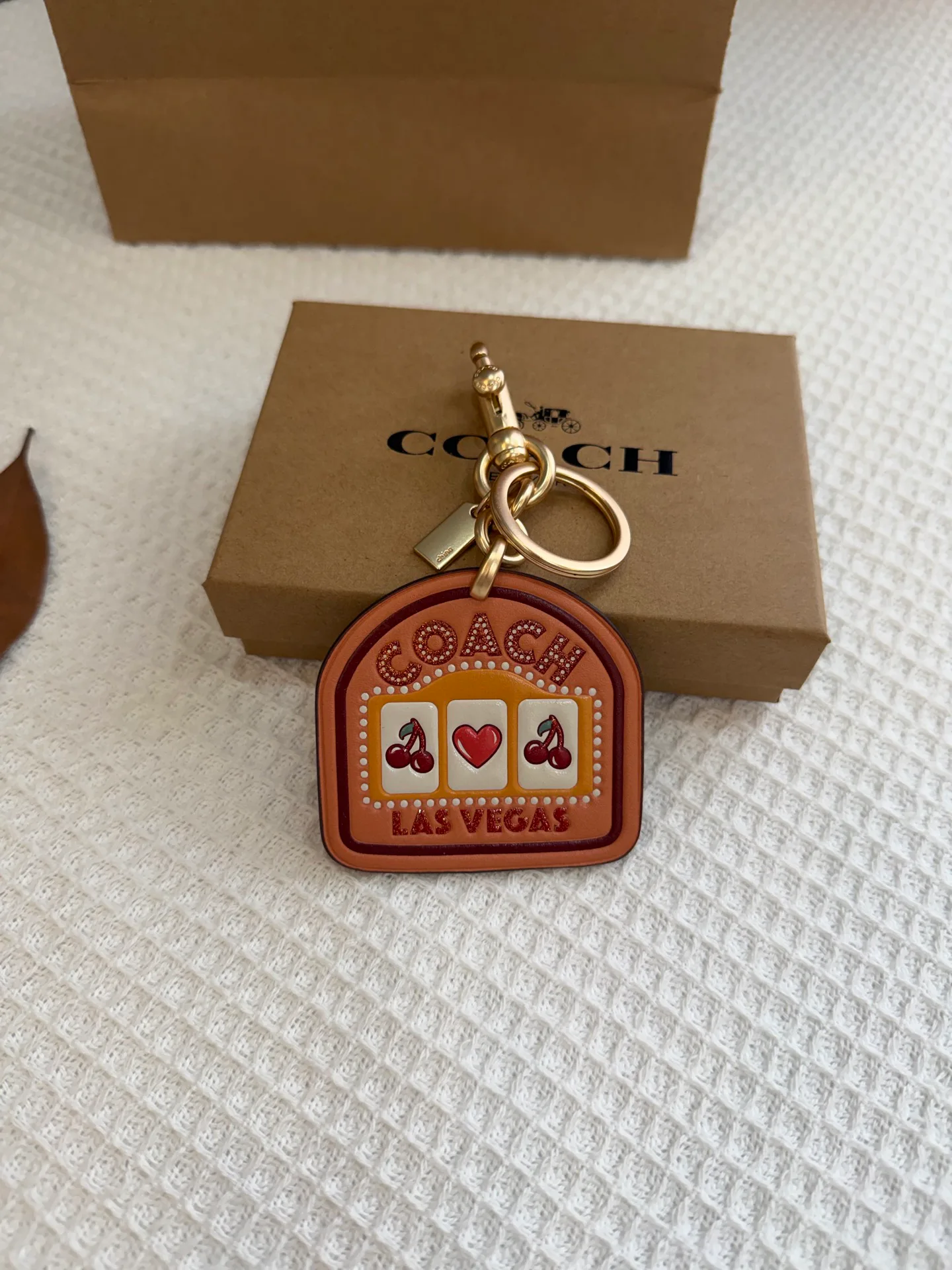 Key Cases COACH 17961101