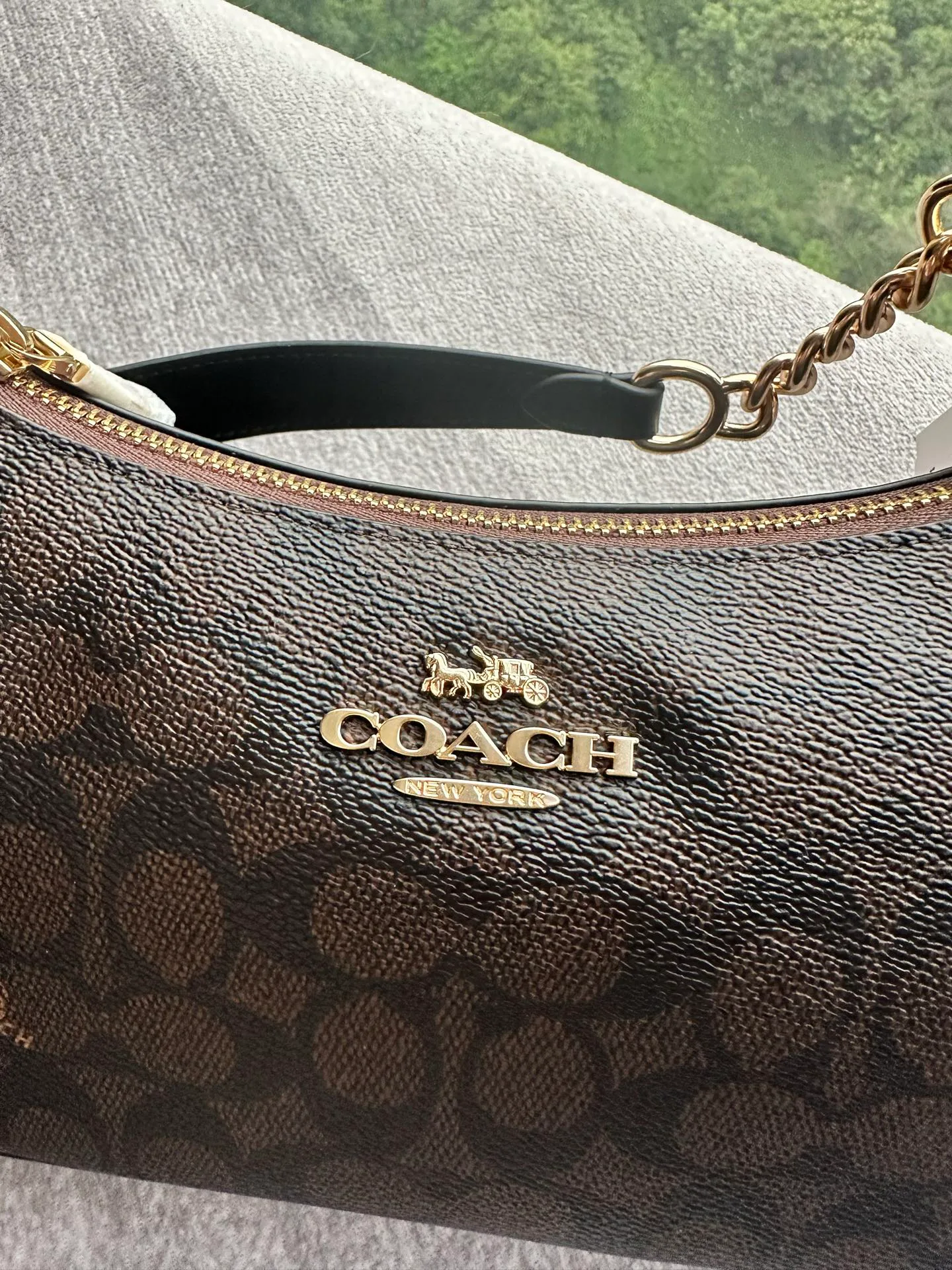 Women's Classic Handbags COACH 17961036
