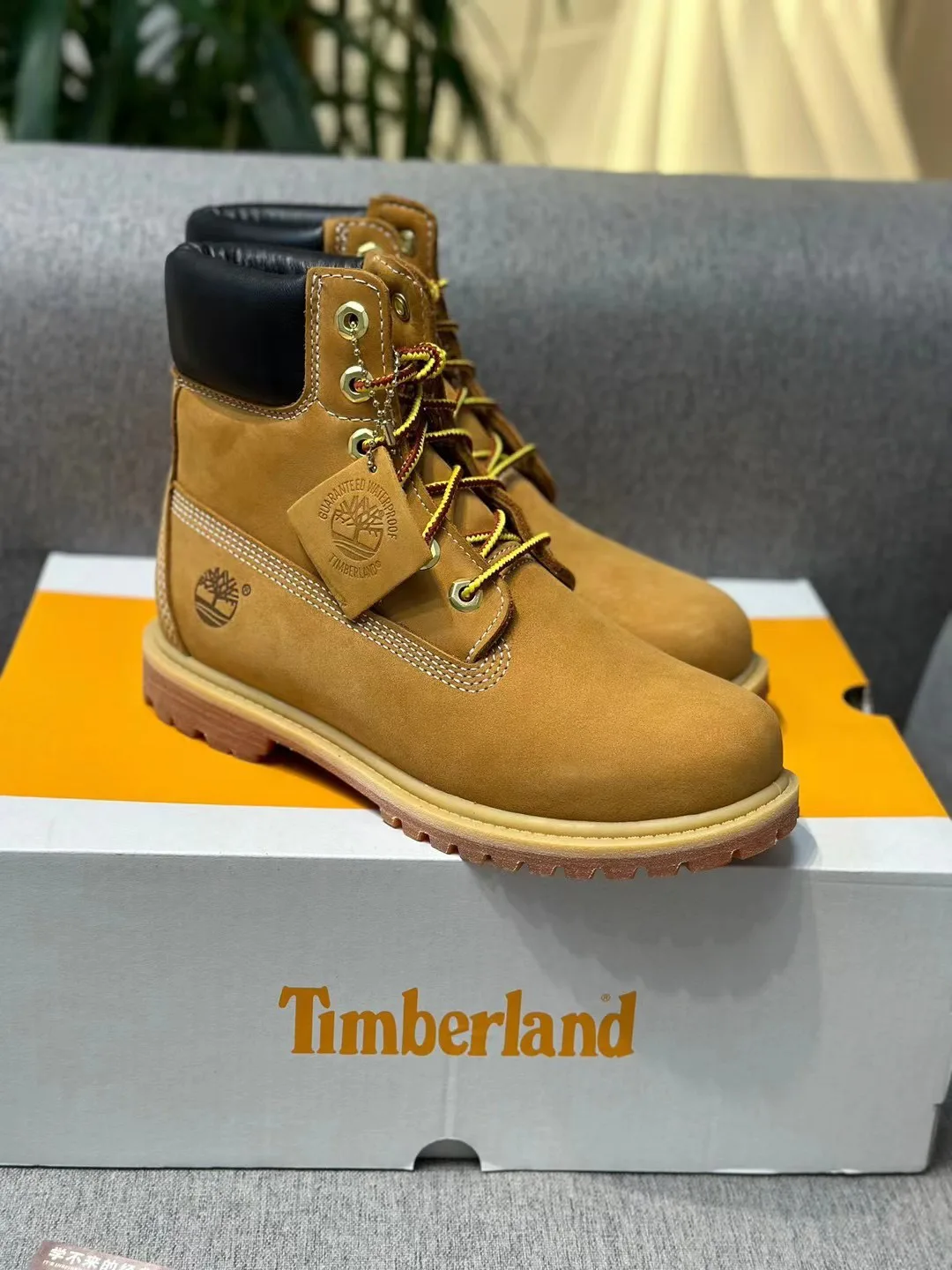 Women's Ankle Boots TIMBERLAND 18072178