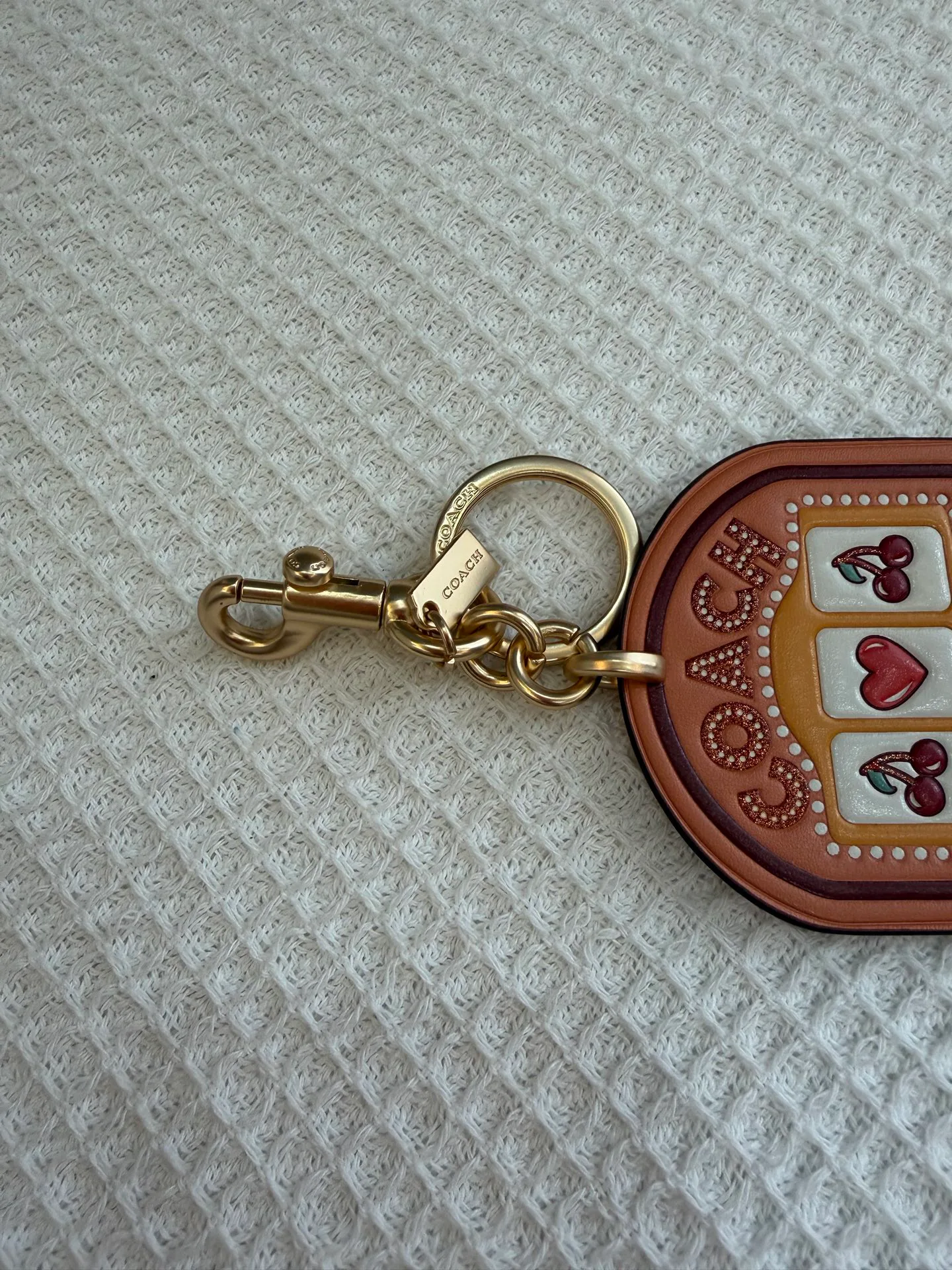 Key Cases COACH 17961101