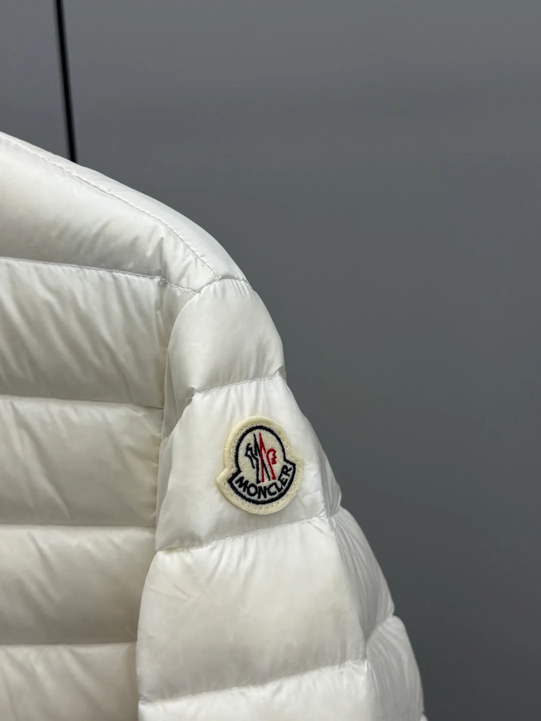 Women's Jackets And Down Jackets MONCLER 17802073