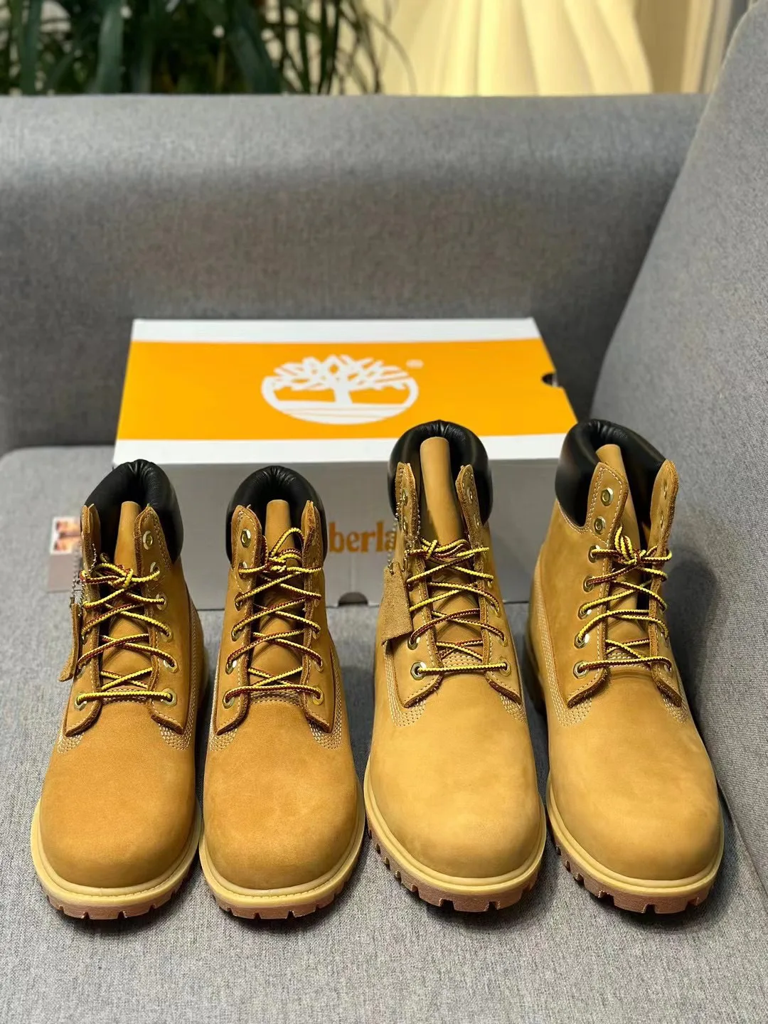 Women's Ankle Boots TIMBERLAND 18072178