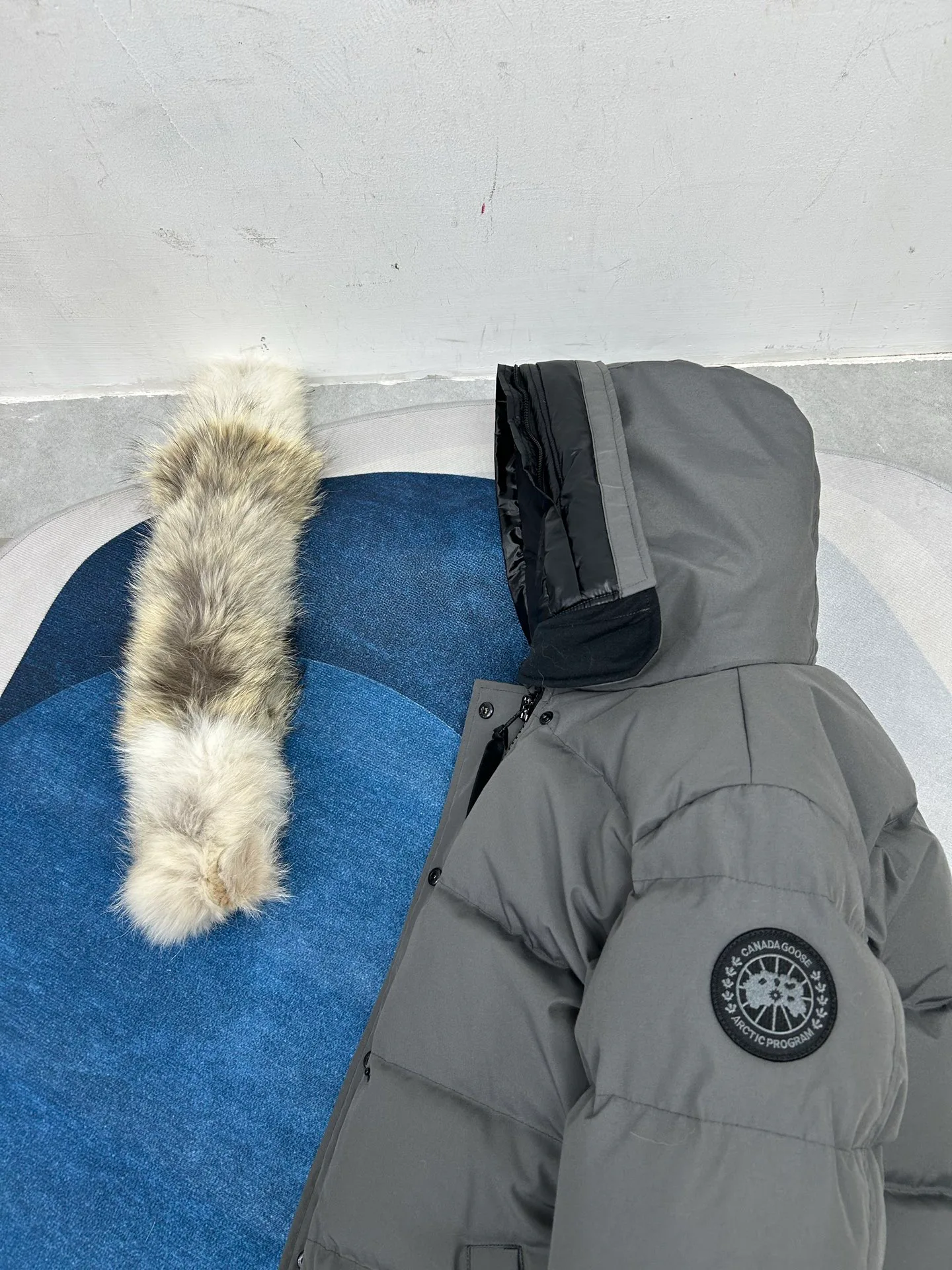 Women's Jackets And Down Jackets CANADA GOOSE 18188608