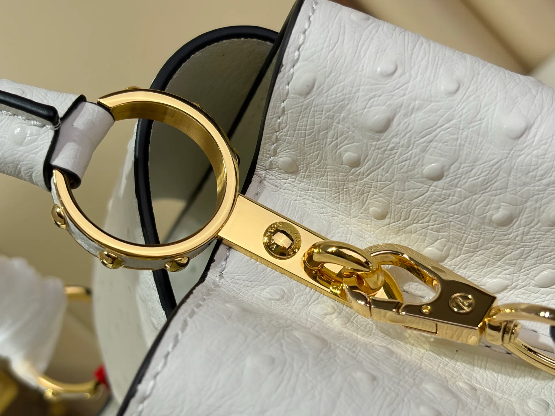 Women's Classic Handbags LOUIS VUITTON 18491316