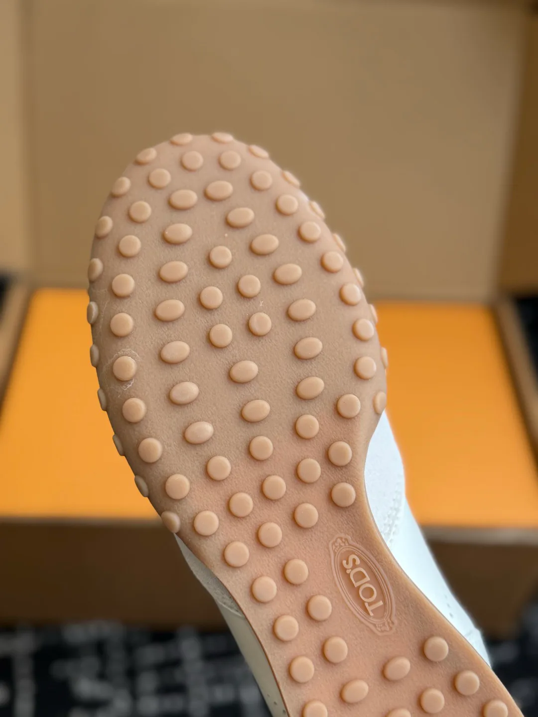 Women's Sneakers TOD'S 18409568