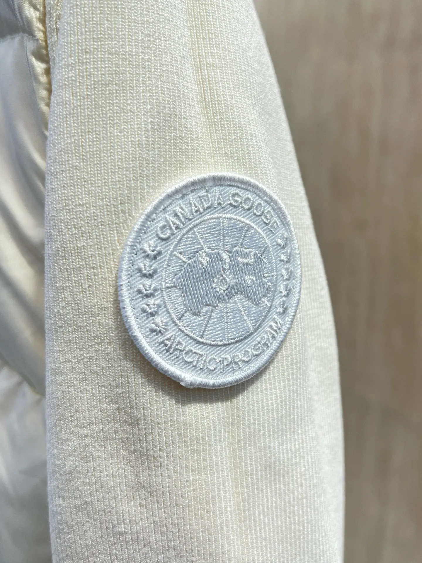 Men's Jackets And Down Jackets CANADA GOOSE 18231175