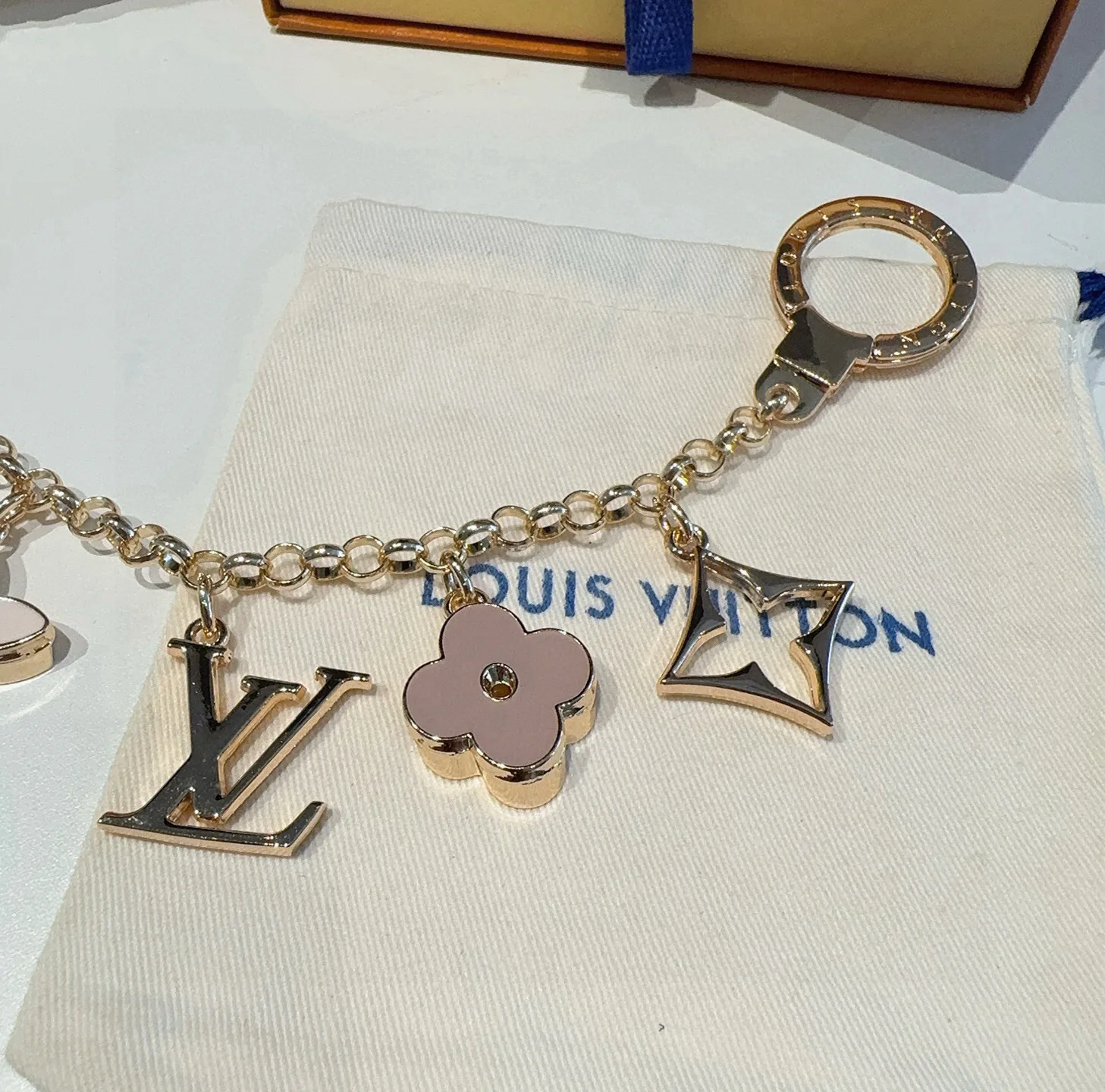 Key Cases LOUIS VUITTON 18013861