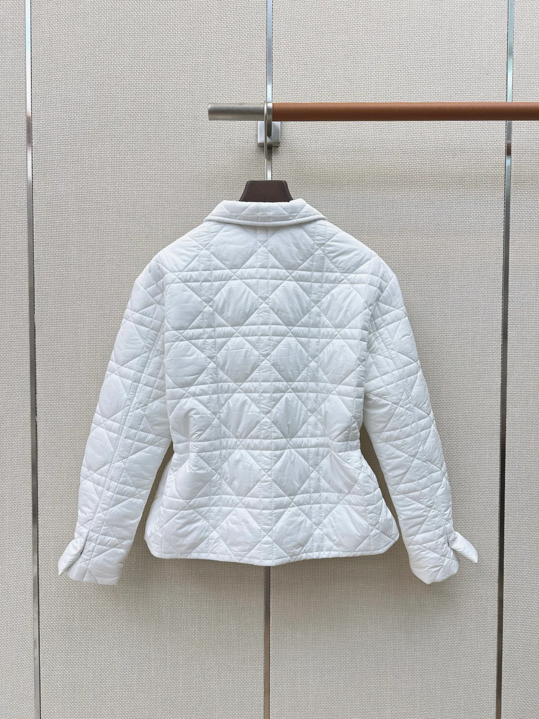 Women's Jackets And Down Jackets CHRISTIAN DIOR 18031949