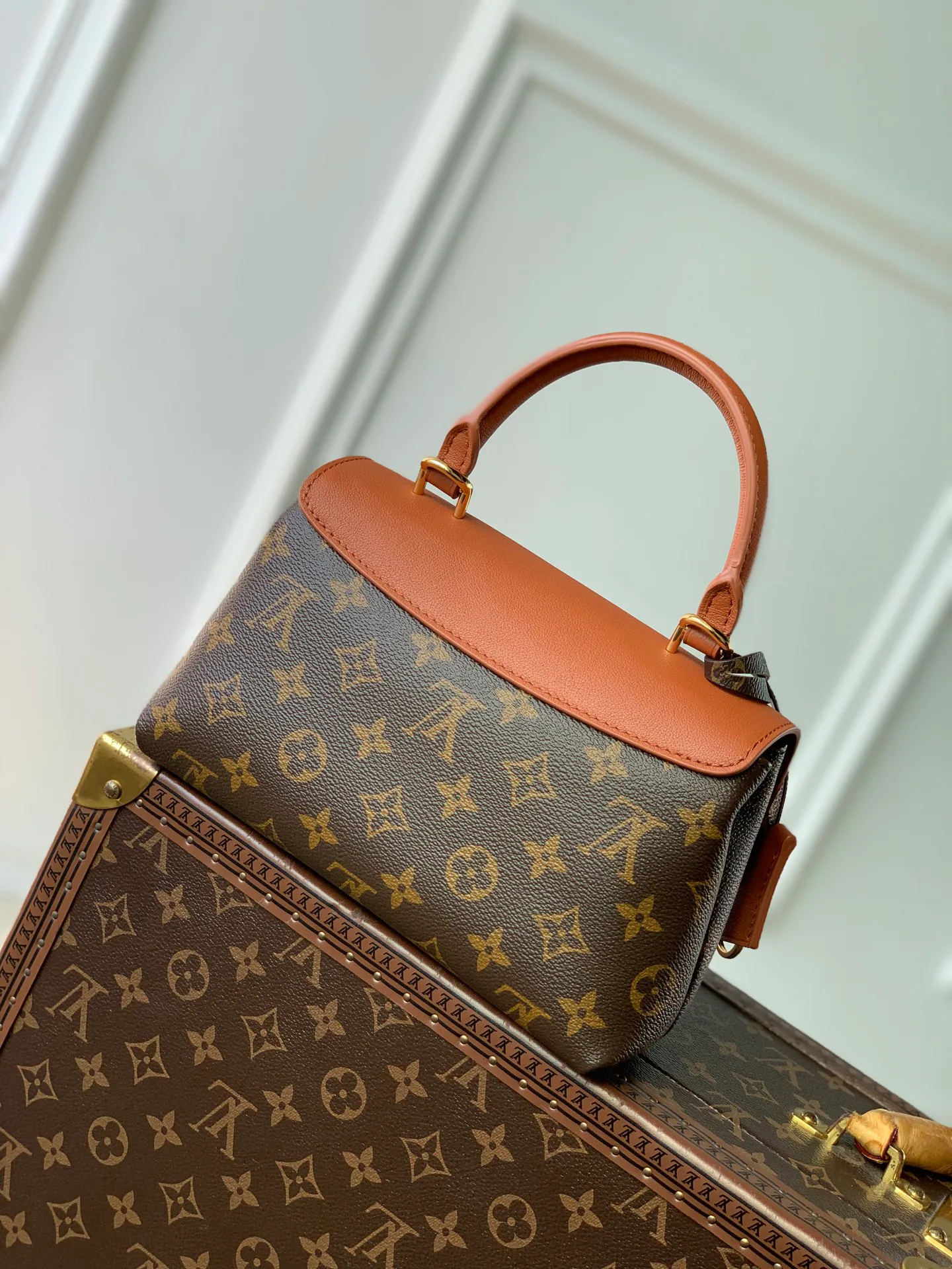 Women's Classic Handbags LOUIS VUITTON 18412598