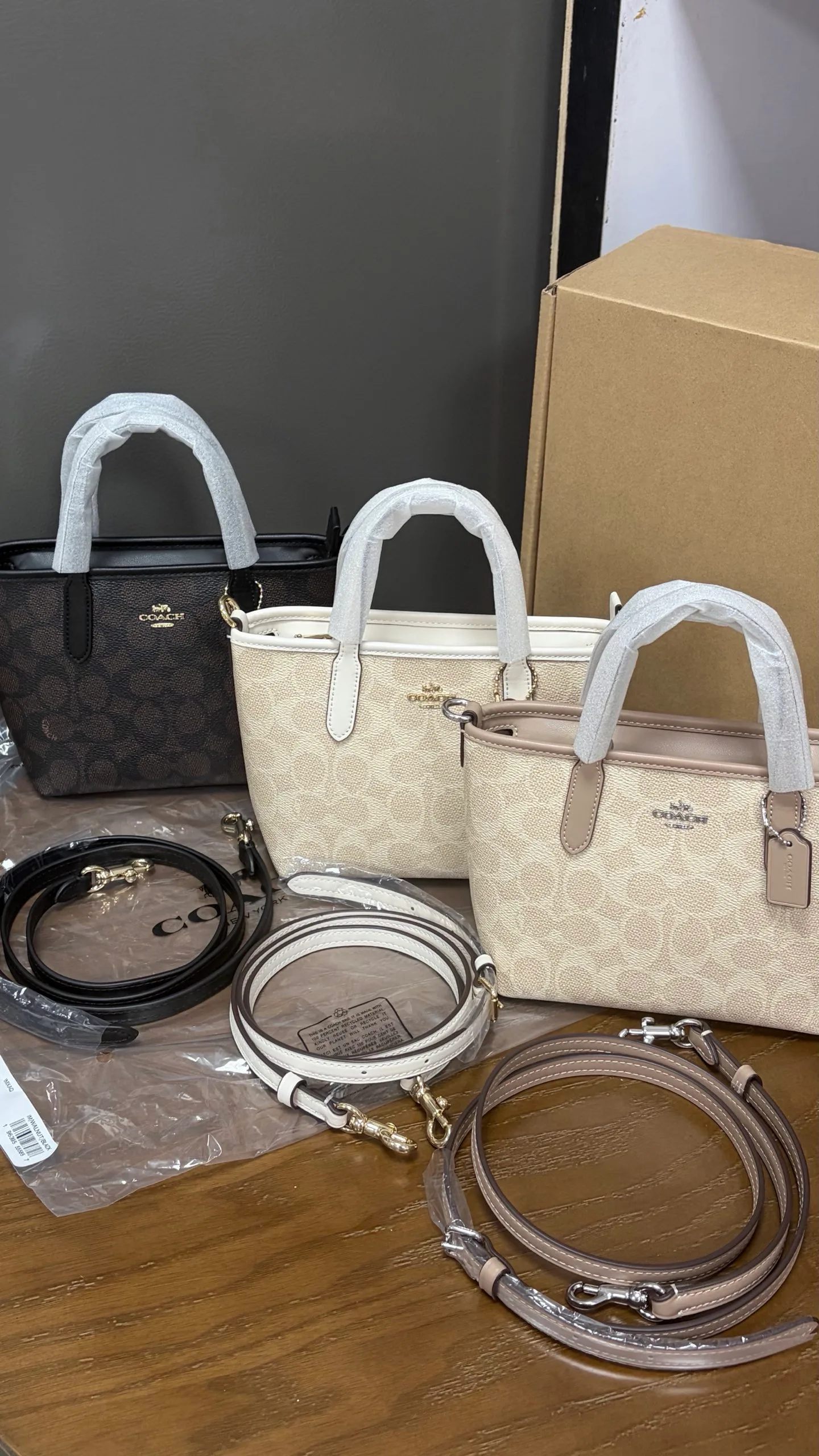 Women's Classic Handbags COACH 17961023