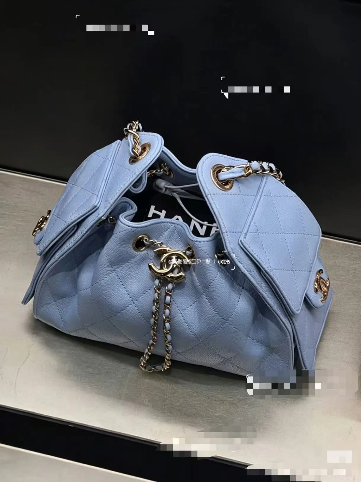 Women's Classic Handbags CHANEL 17302672
