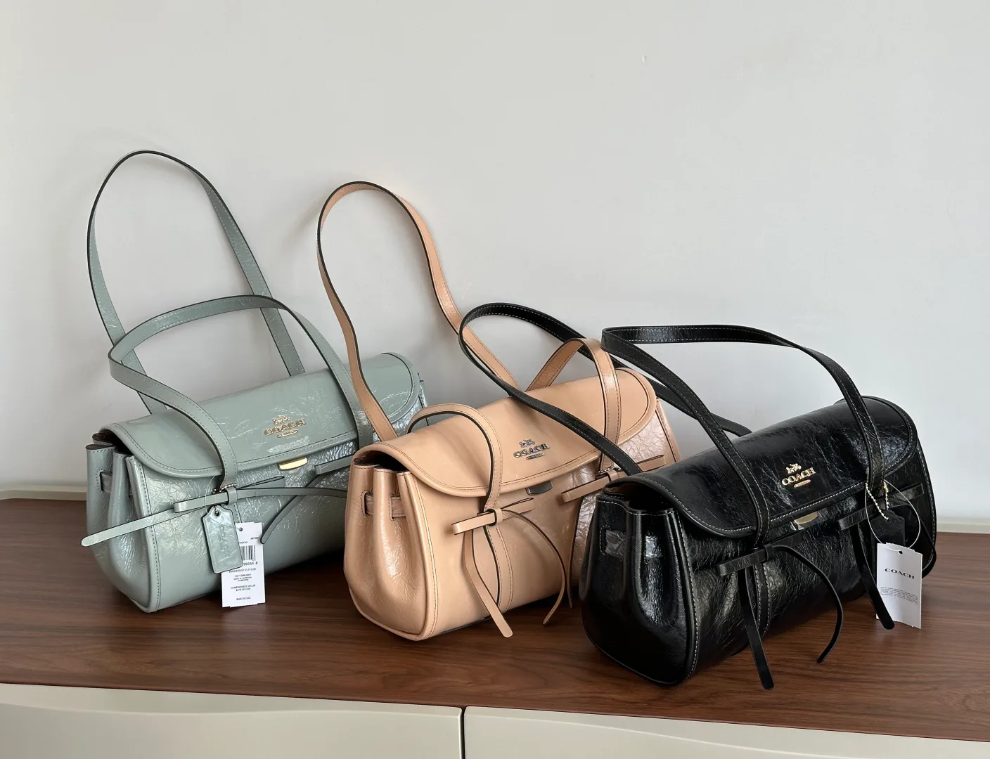 Women's Classic Handbags COACH 17218756