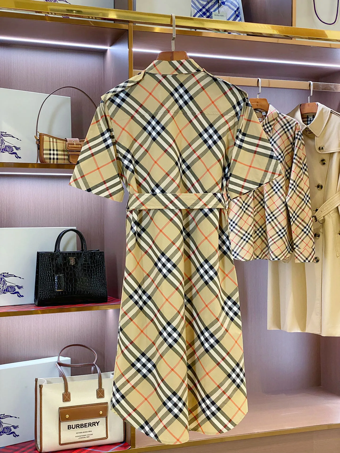 Women's Dresses BURBERRY 17361091