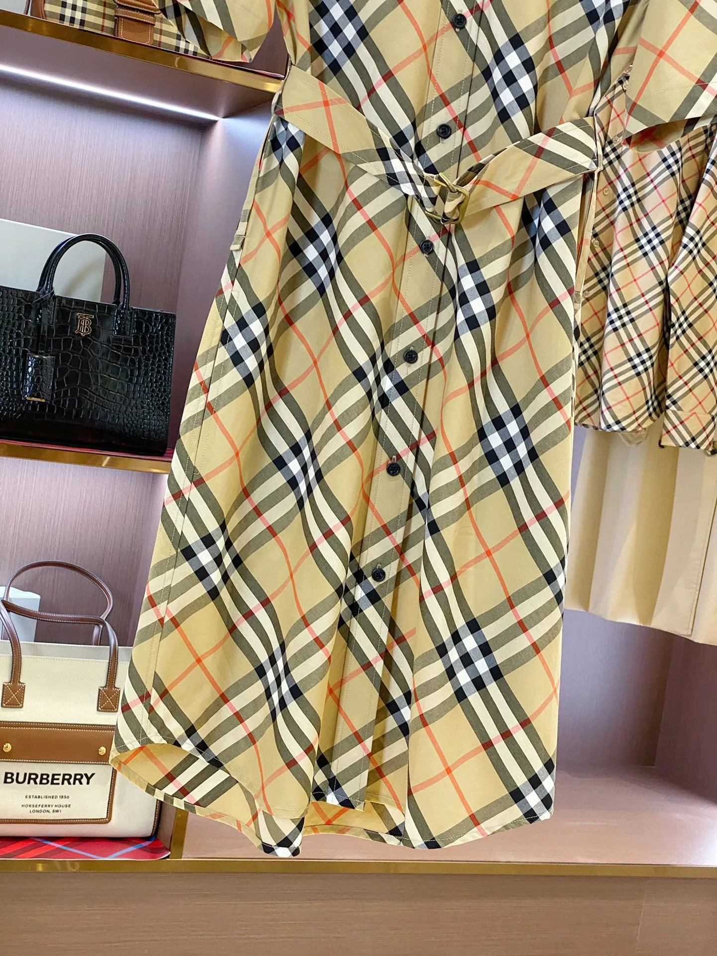 Women's Dresses BURBERRY 17361091