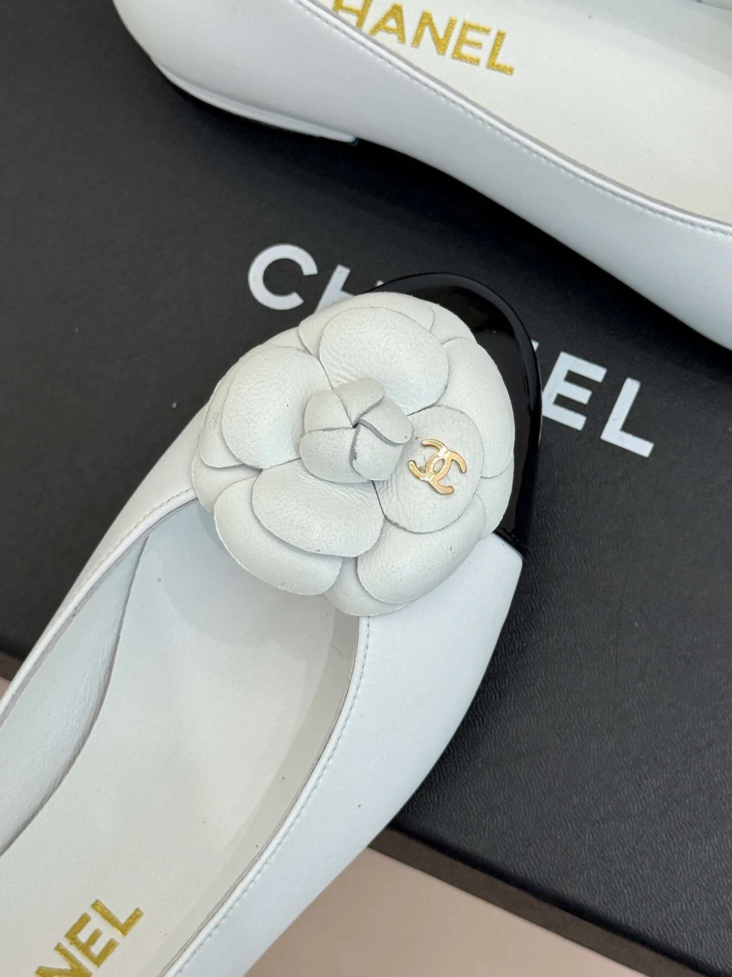 Women's Ballet Flats CHANEL 17741087