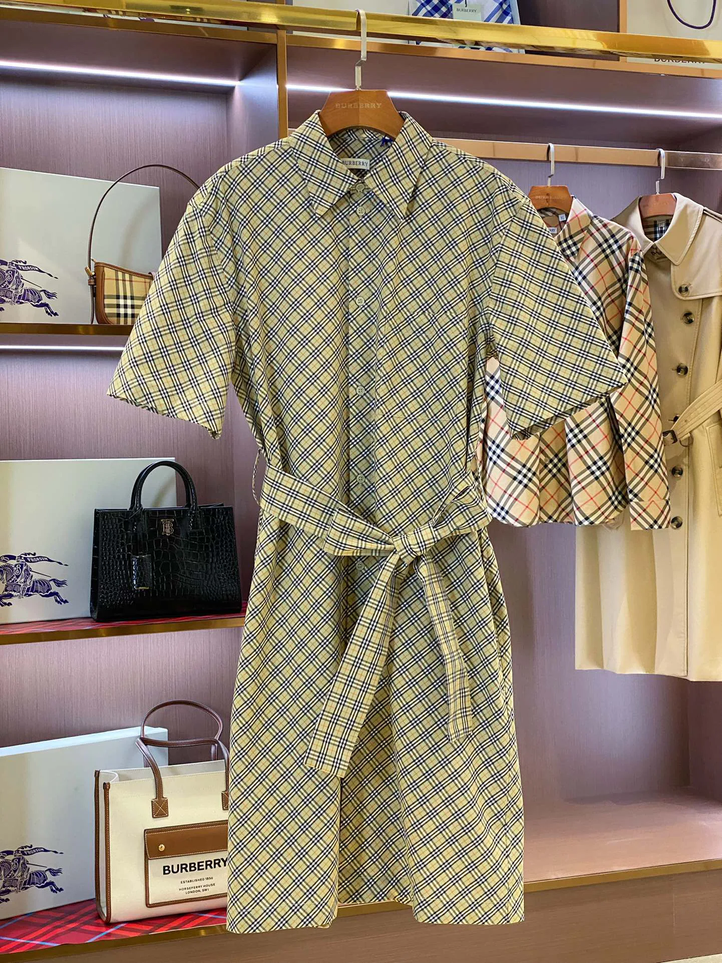 Women's Dresses BURBERRY 17361099