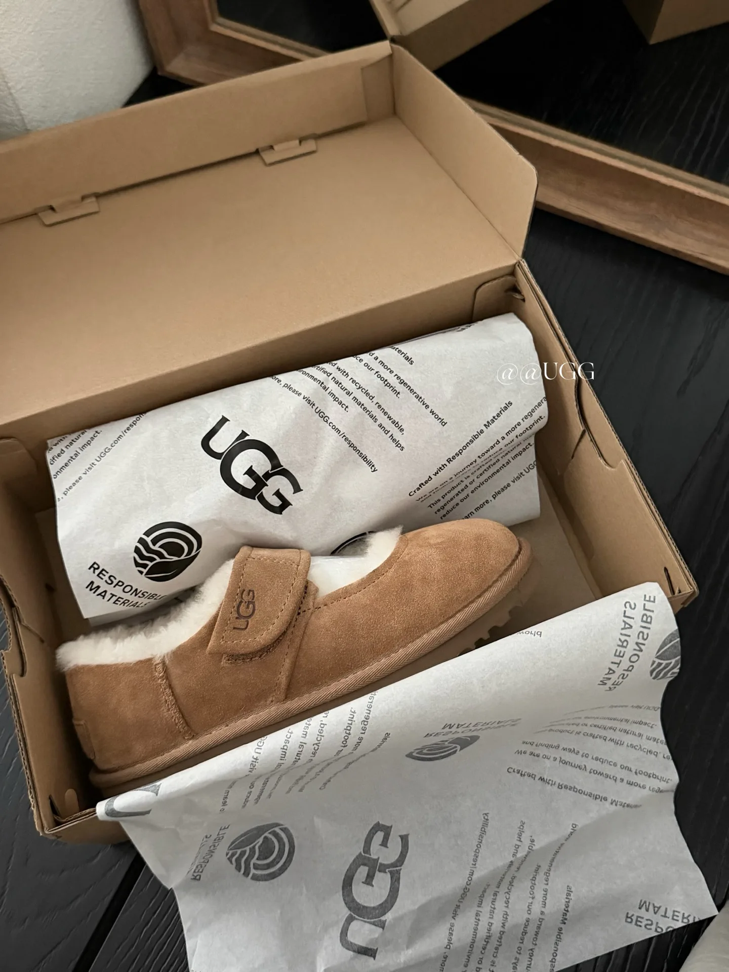 Women's Ugg Boots UGG 17926091