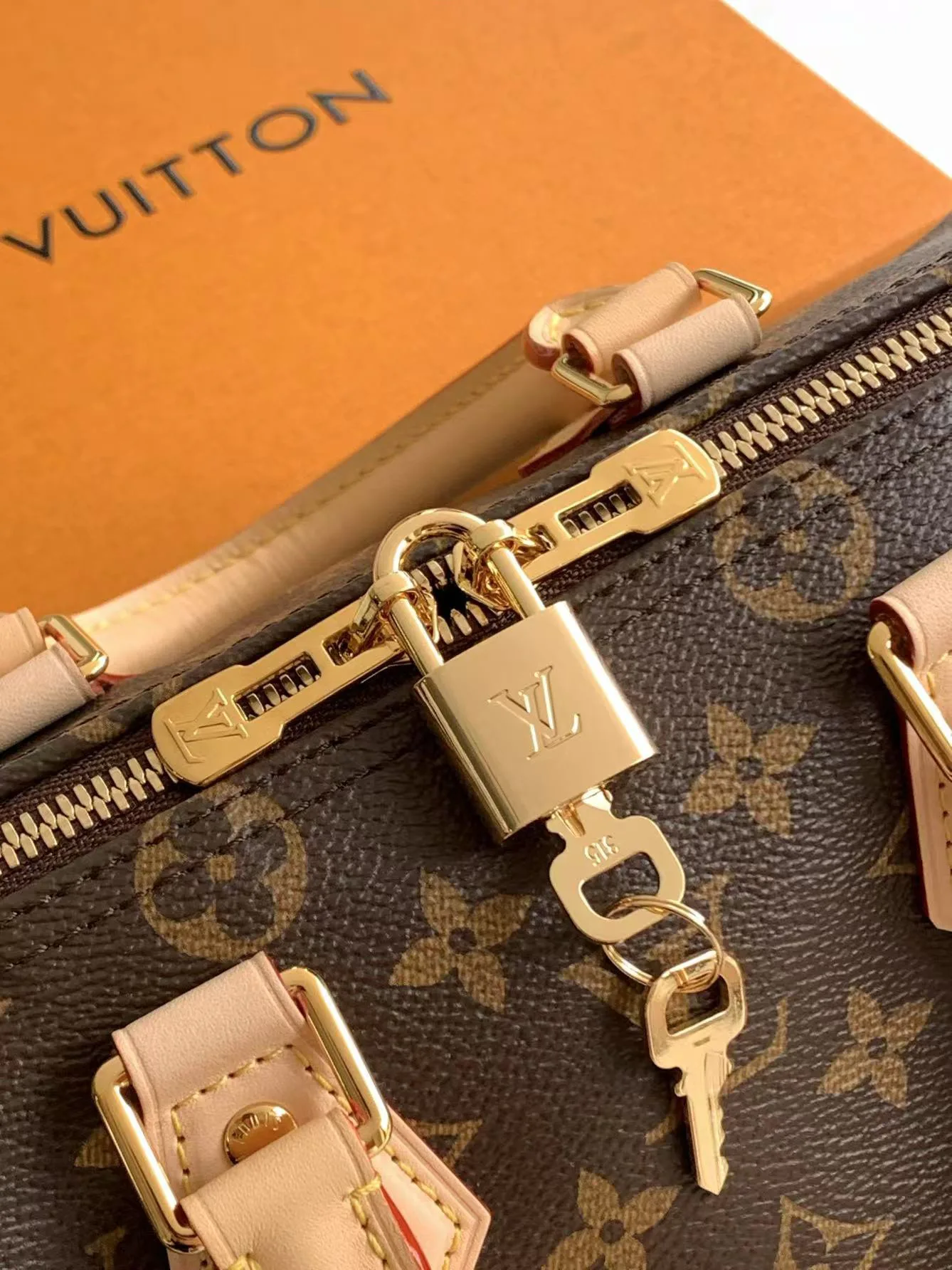 Women's Classic Handbags LOUIS VUITTON 18156568