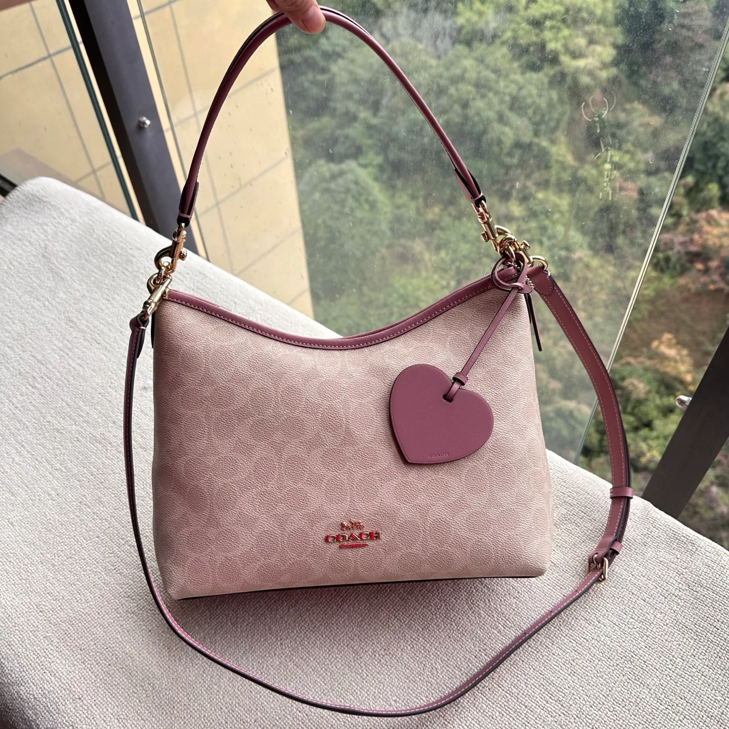 Women's Classic Handbags COACH 17961000