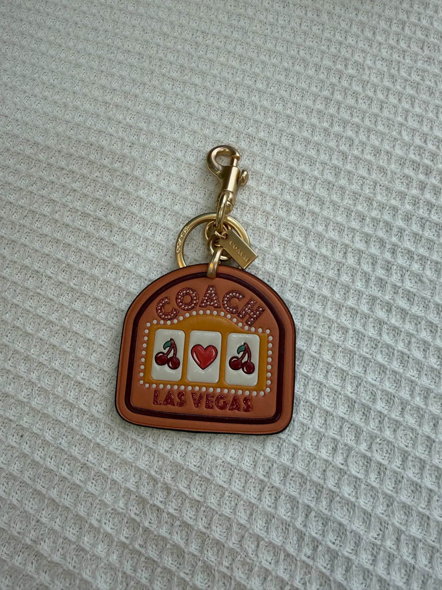 Key Cases COACH 17961101