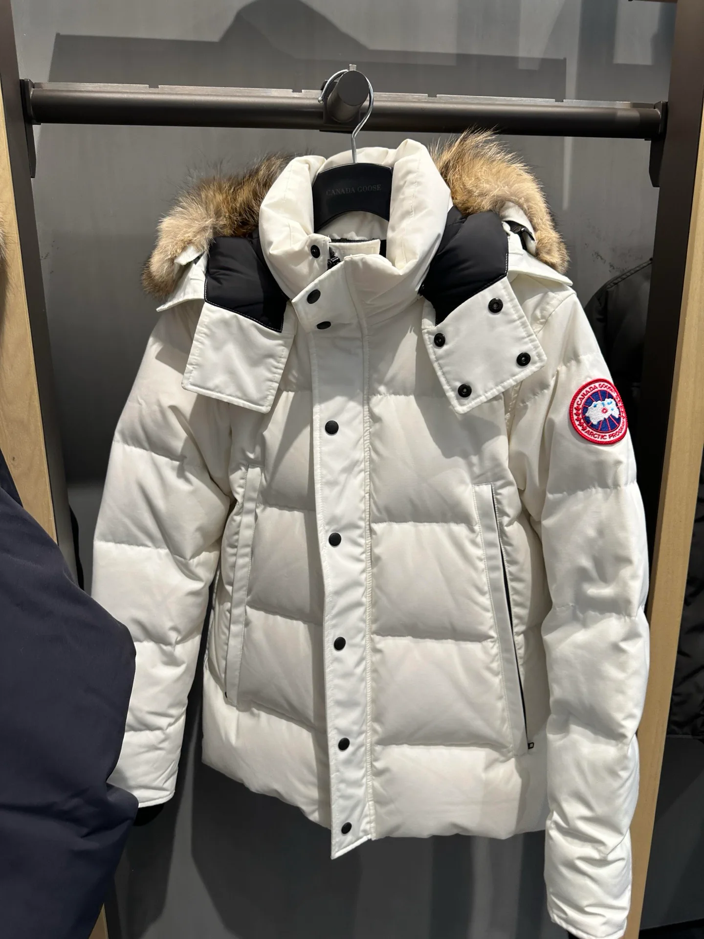 Men's Jackets And Down Jackets CANADA GOOSE 18392248
