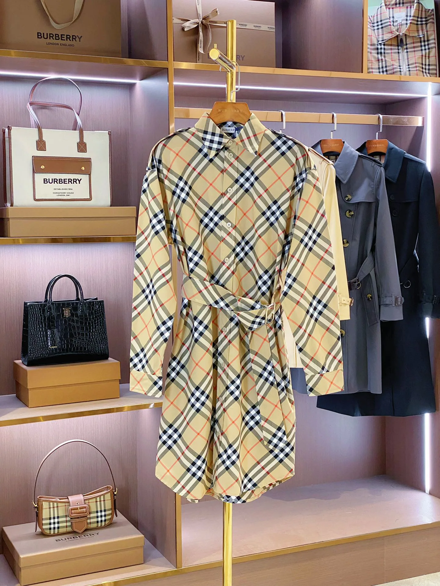 Women's Dresses BURBERRY 17361109