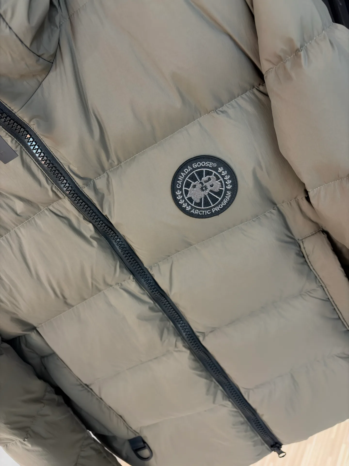 Women's Jackets And Down Jackets CANADA GOOSE 18391749