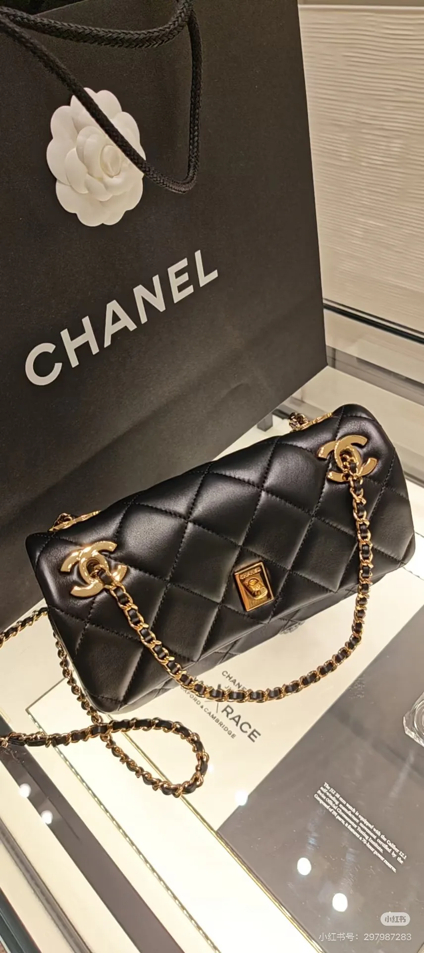 Women's Classic Handbags CHANEL 17364599