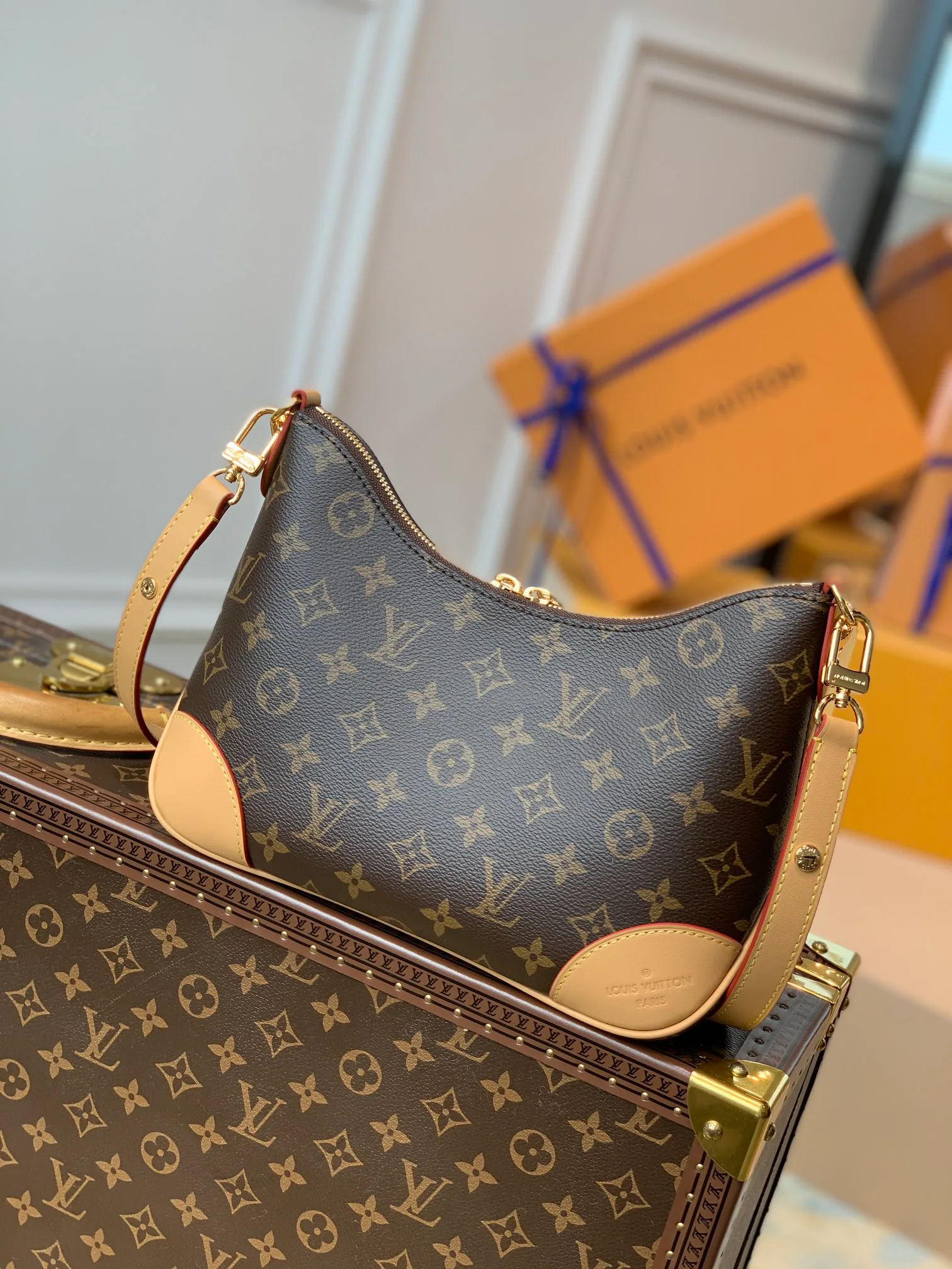 Women's Classic Handbags LOUIS VUITTON 17823432