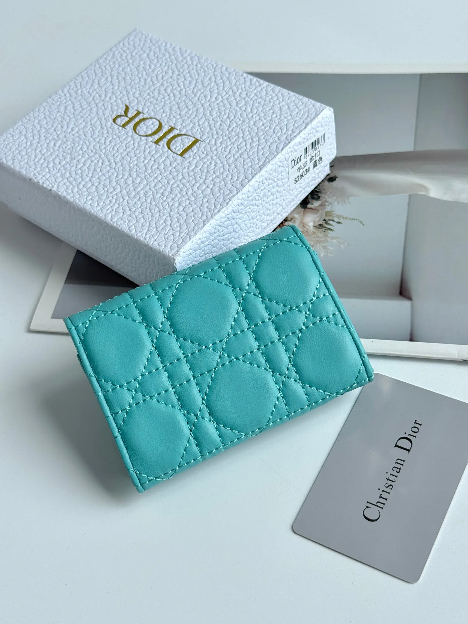 Women's Clutches CHRISTIAN DIOR 17447407