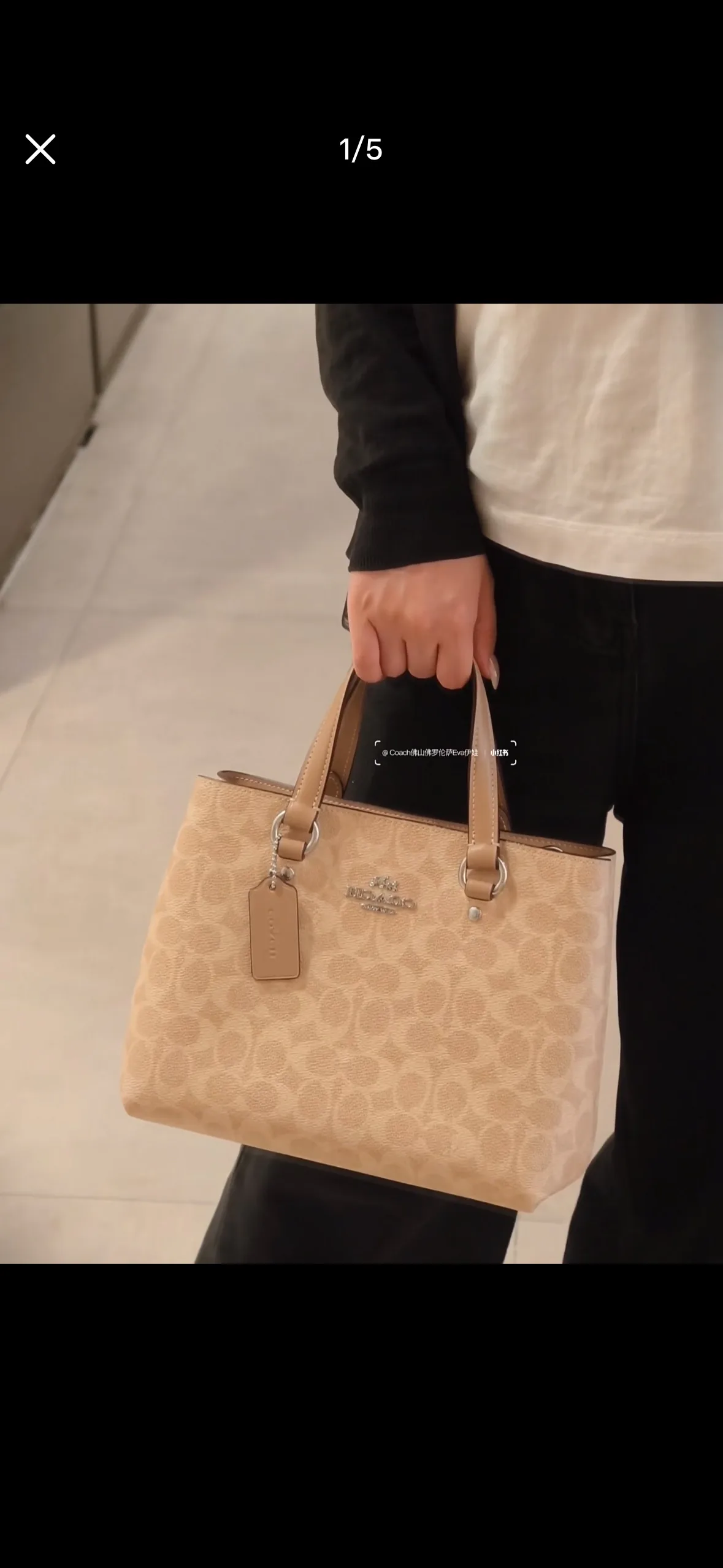 Women's Classic Handbags COACH 17961148