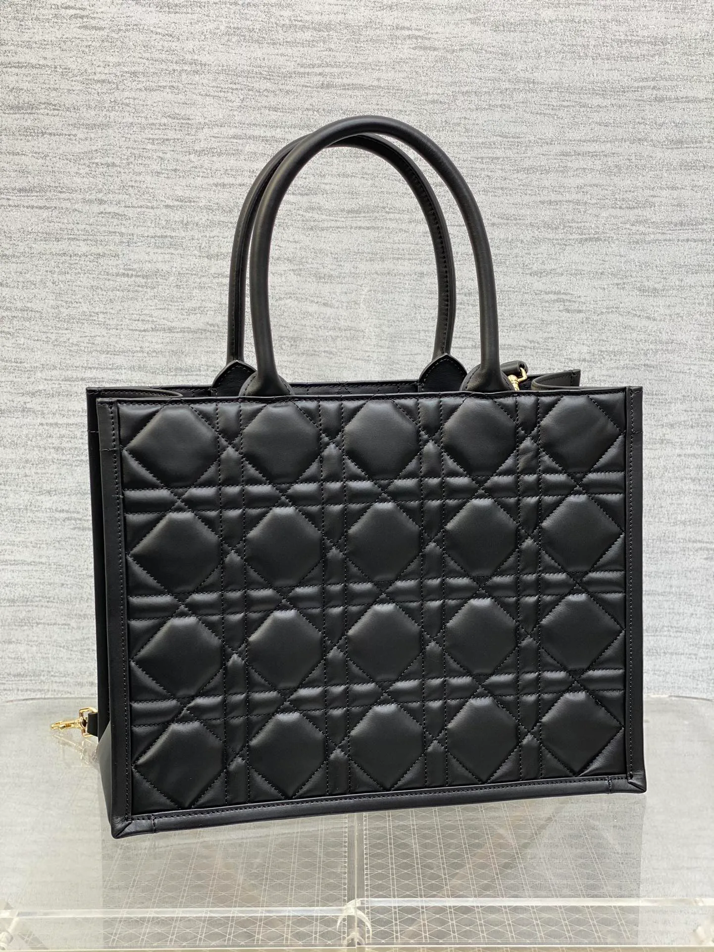 Women's Classic Handbags CHRISTIAN DIOR 17601396