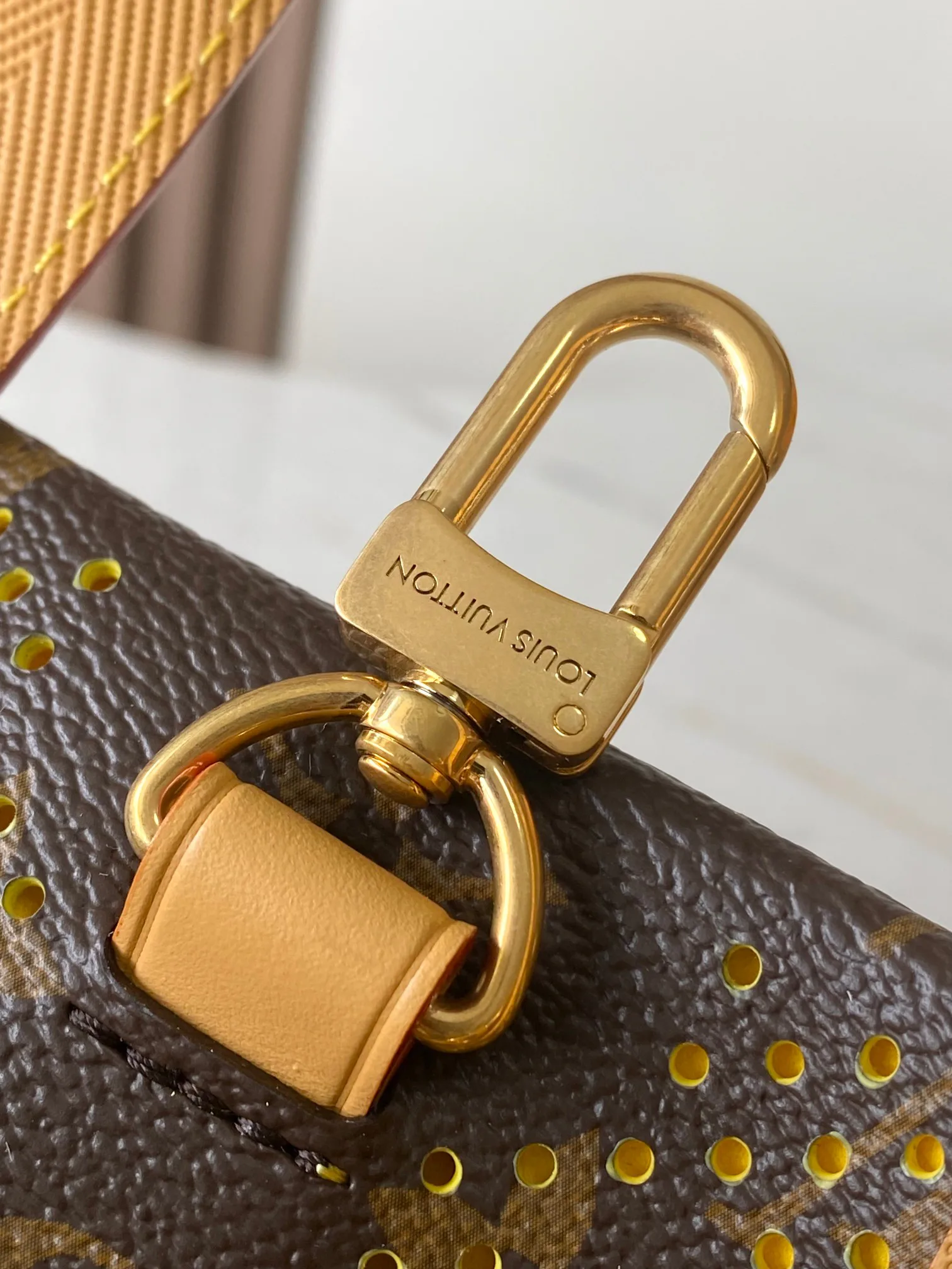 Women's Classic Handbags LOUIS VUITTON 18521086