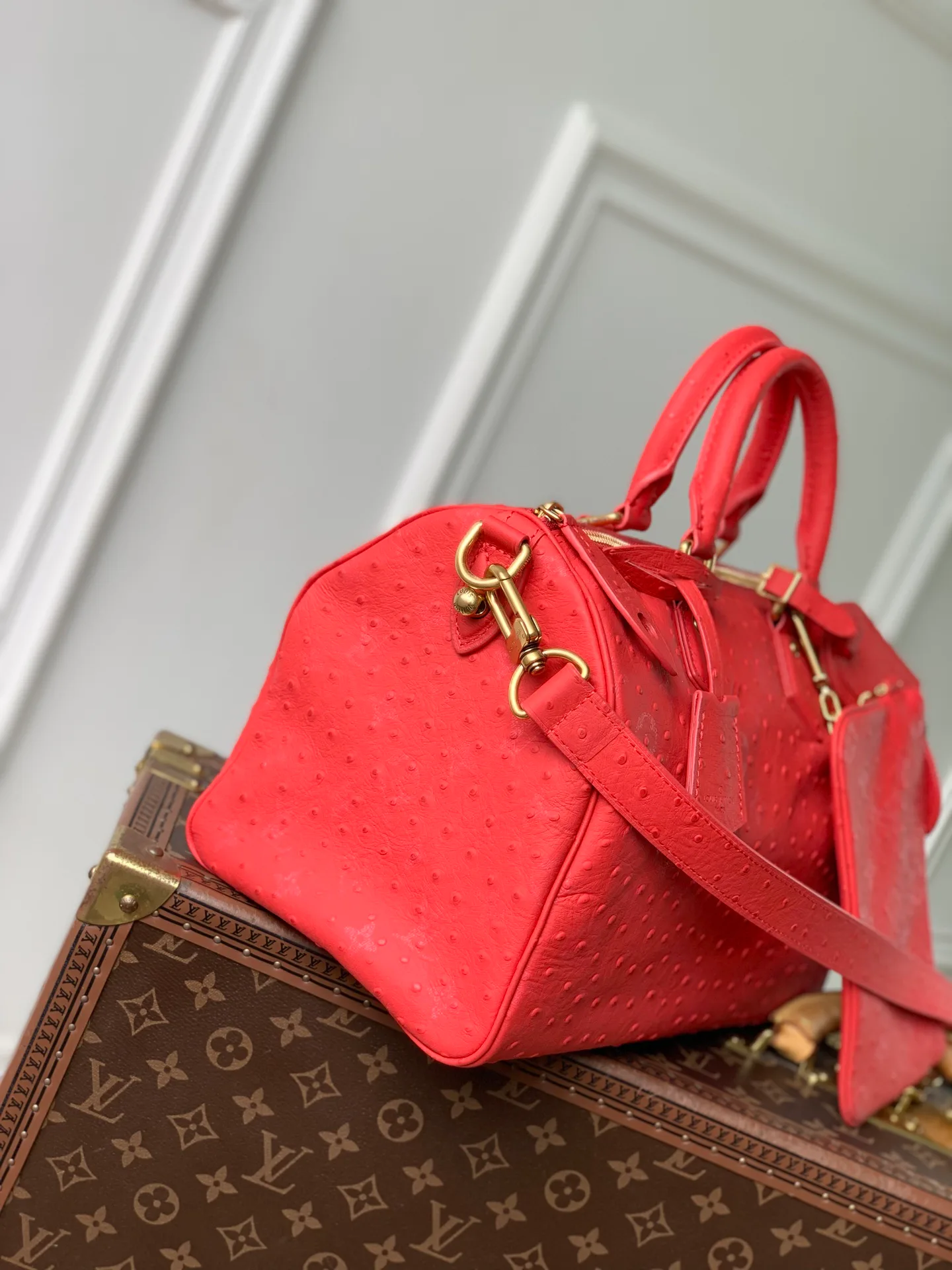 Women's Classic Handbags LOUIS VUITTON 18147439