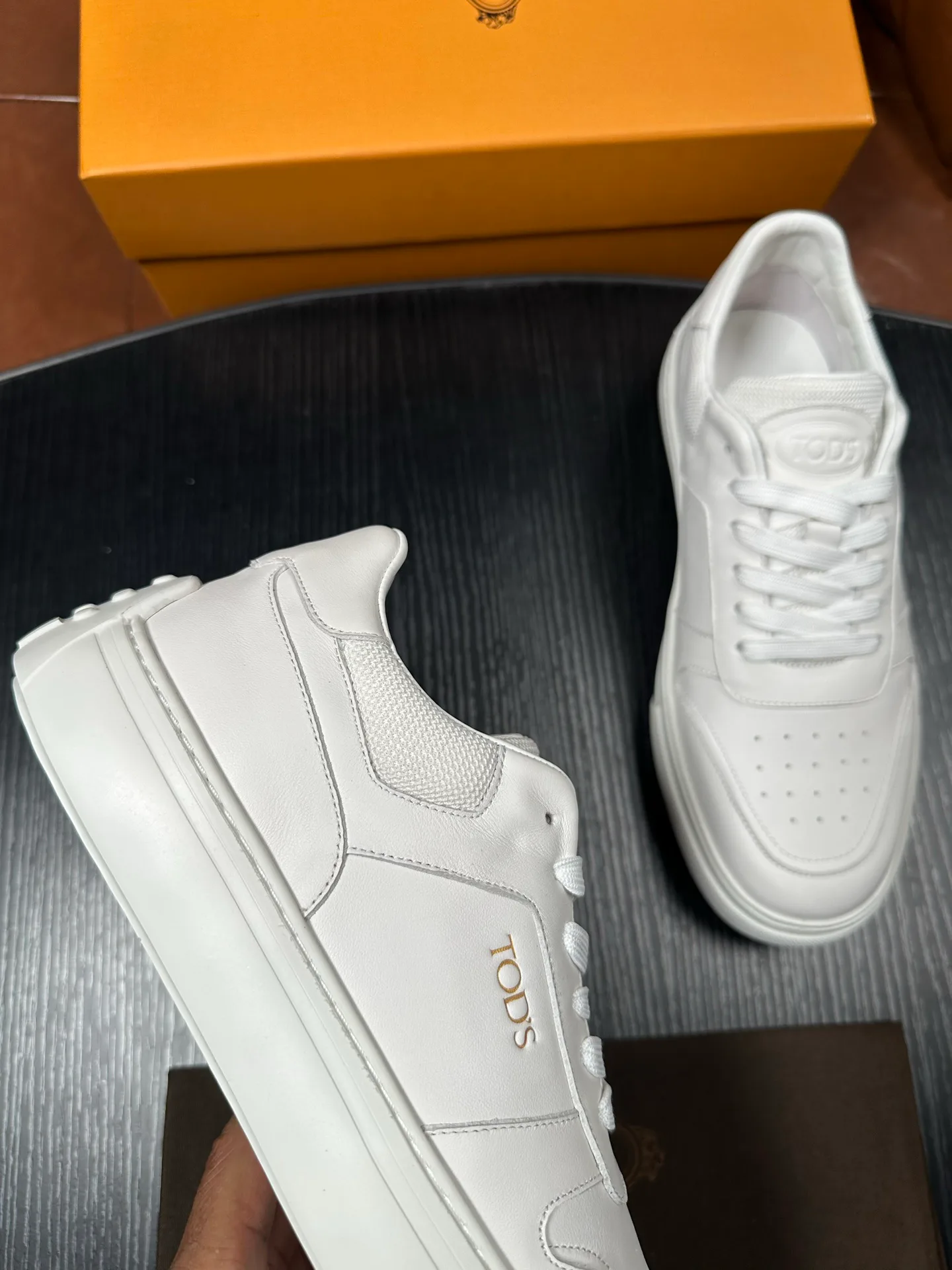 Men's Sneakers TOD'S 18500811
