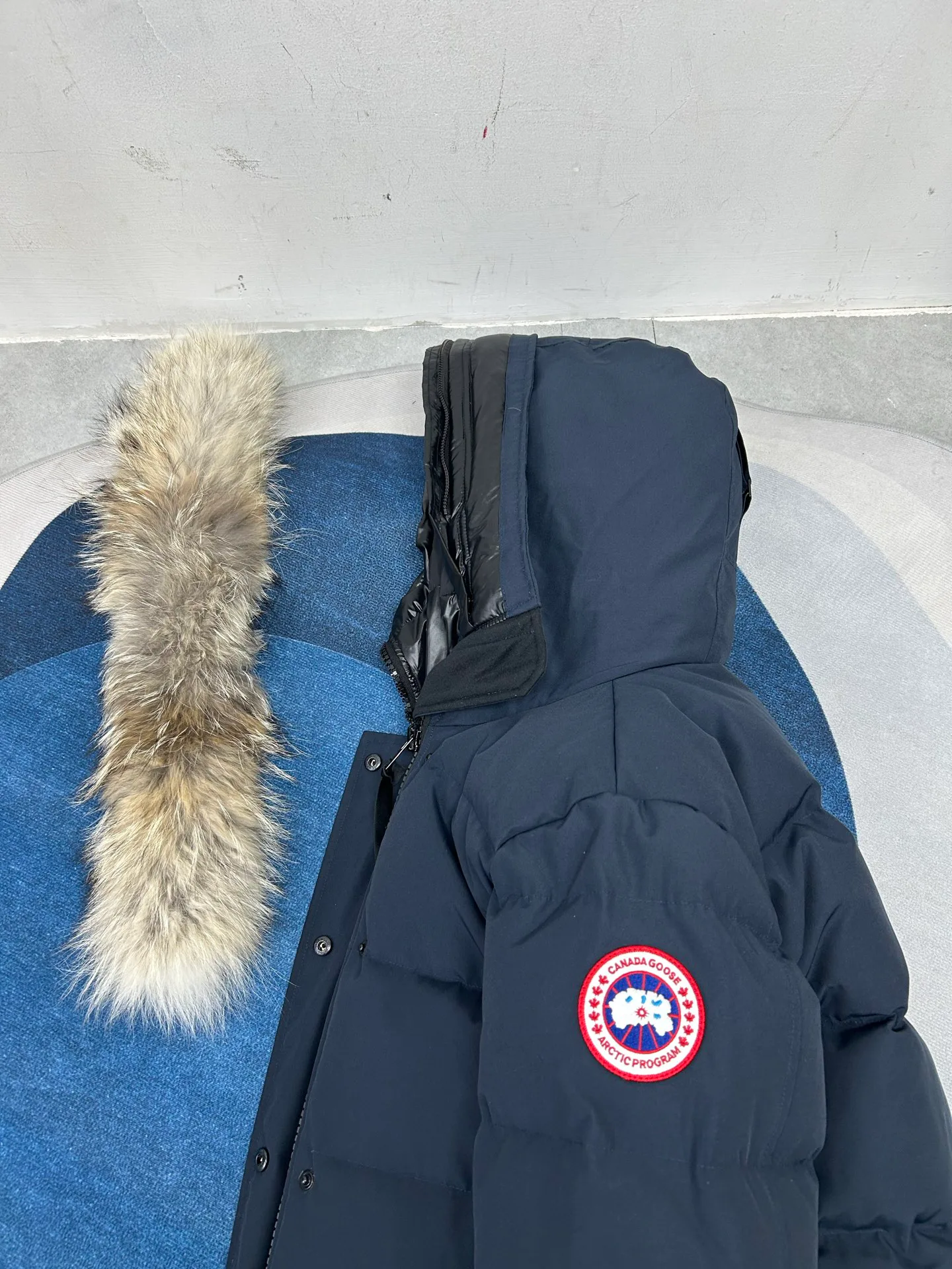 Women's Jackets And Down Jackets CANADA GOOSE 18007221
