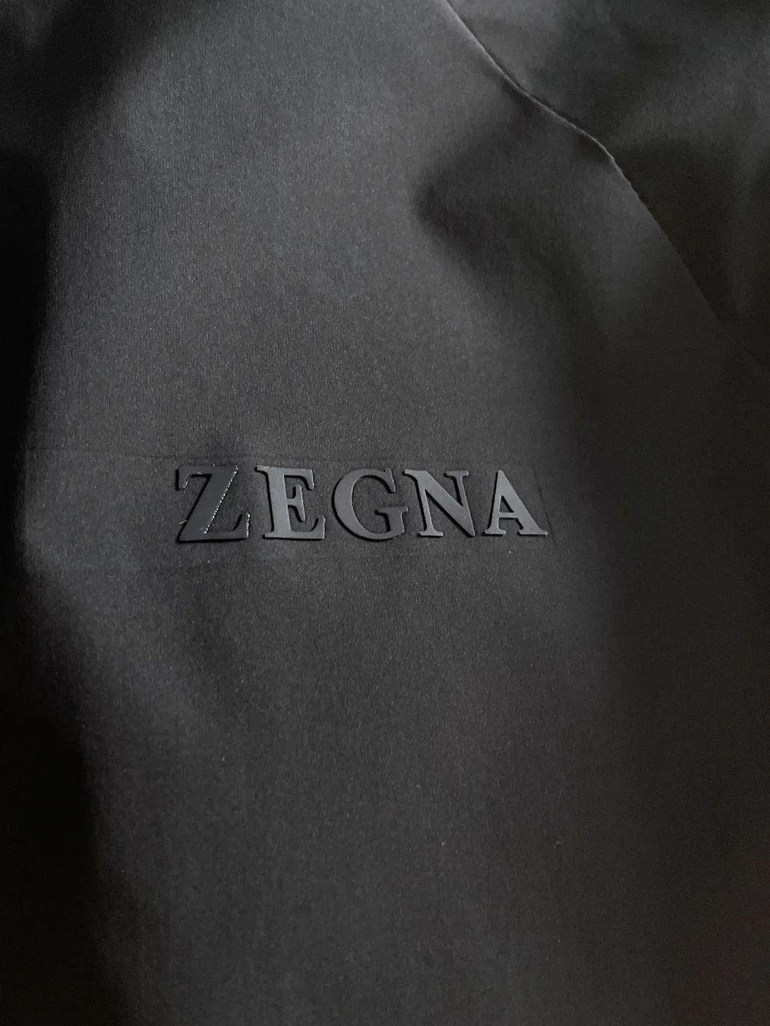 Men's Jackets And Down Jackets ZEGNA 17799713