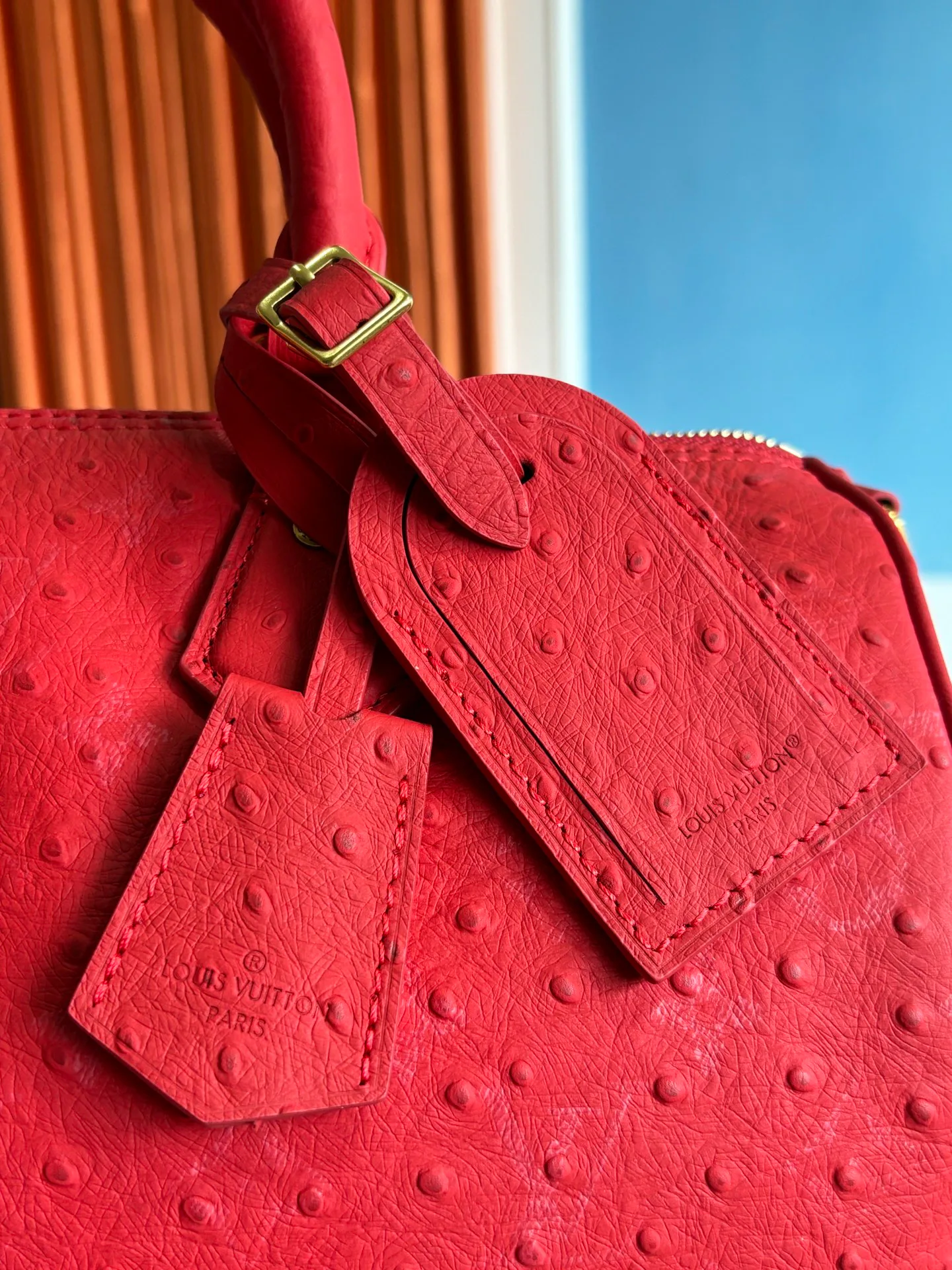 Women's Classic Handbags LOUIS VUITTON 17843666