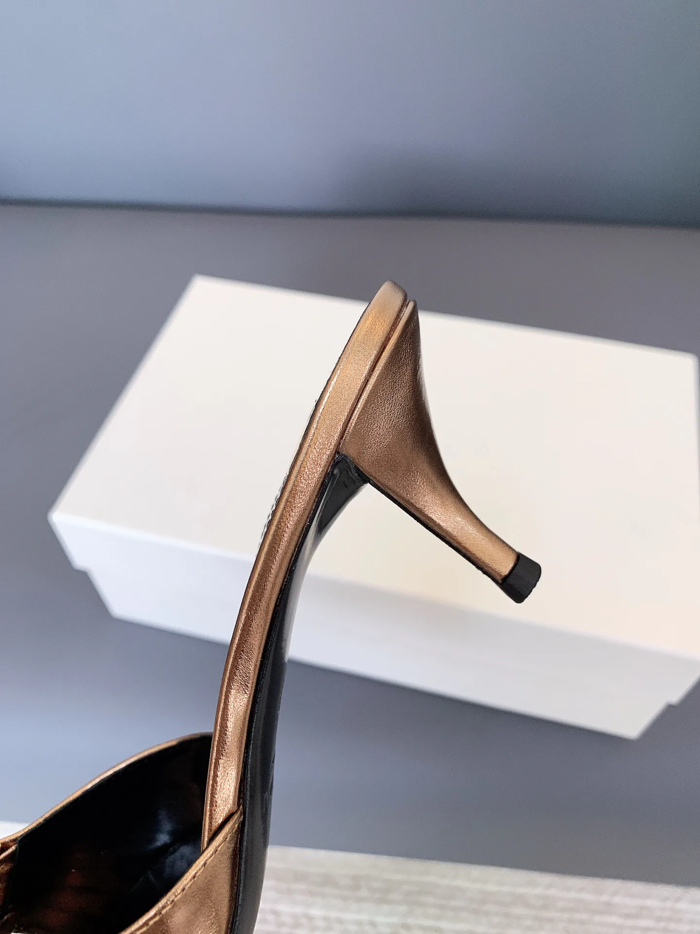 Women's Mules And Clogs SAINT LAURENT 17698103