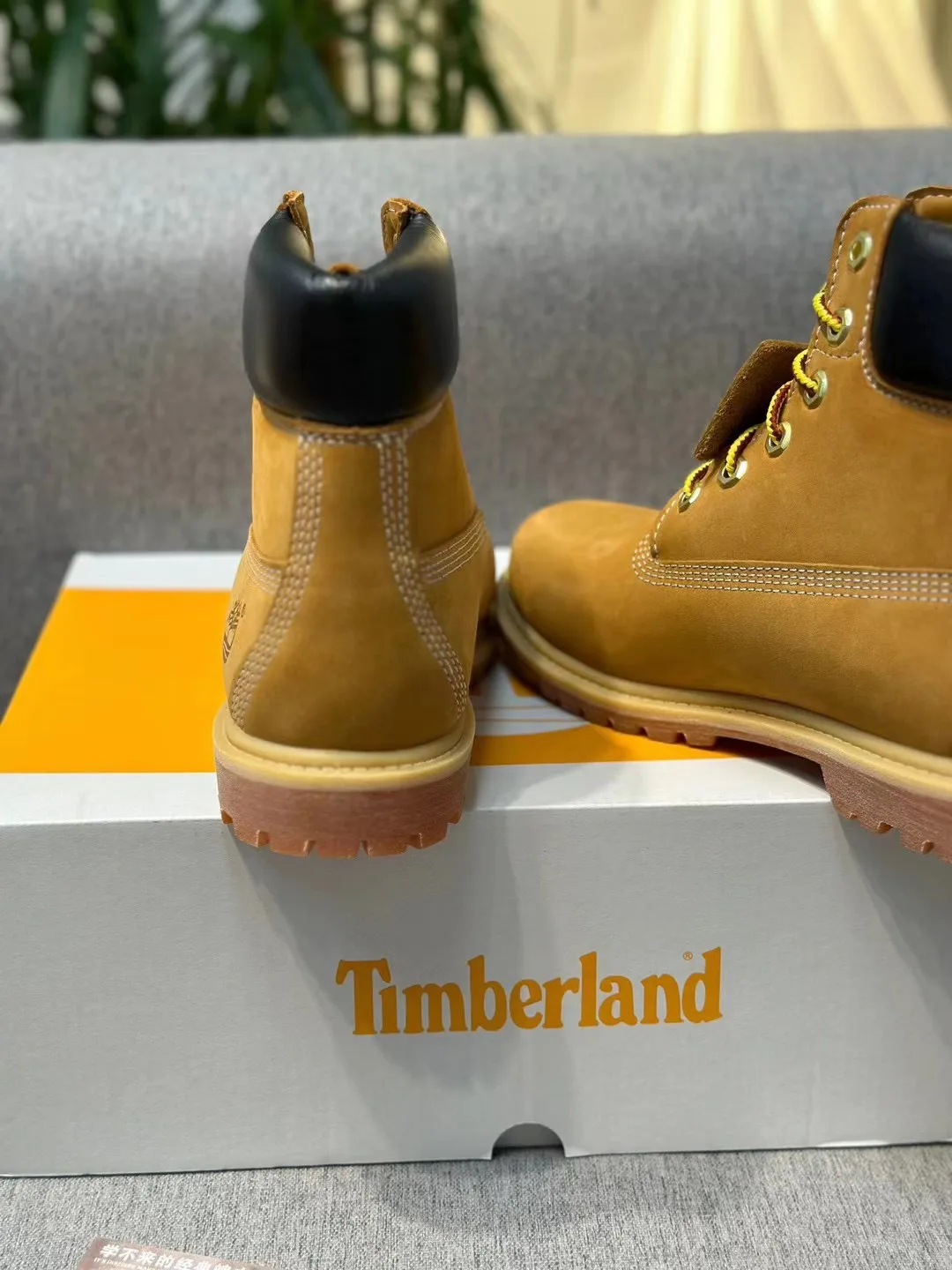 Women's Ankle Boots TIMBERLAND 18072178
