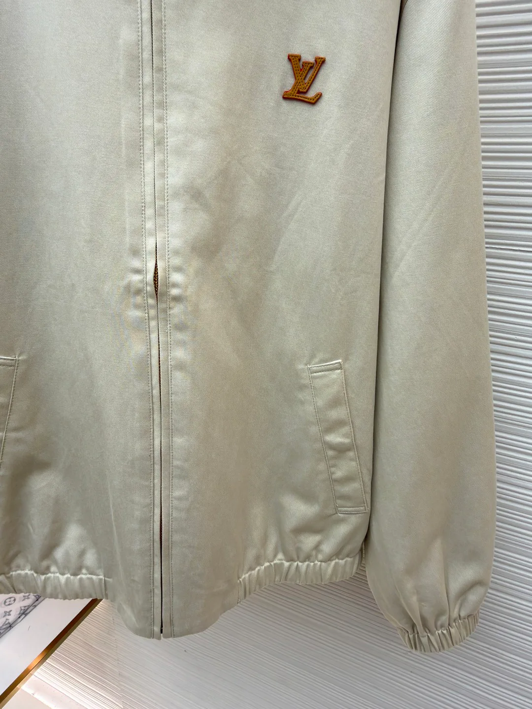 Men's Jackets And Down Jackets LOUIS VUITTON 18309048