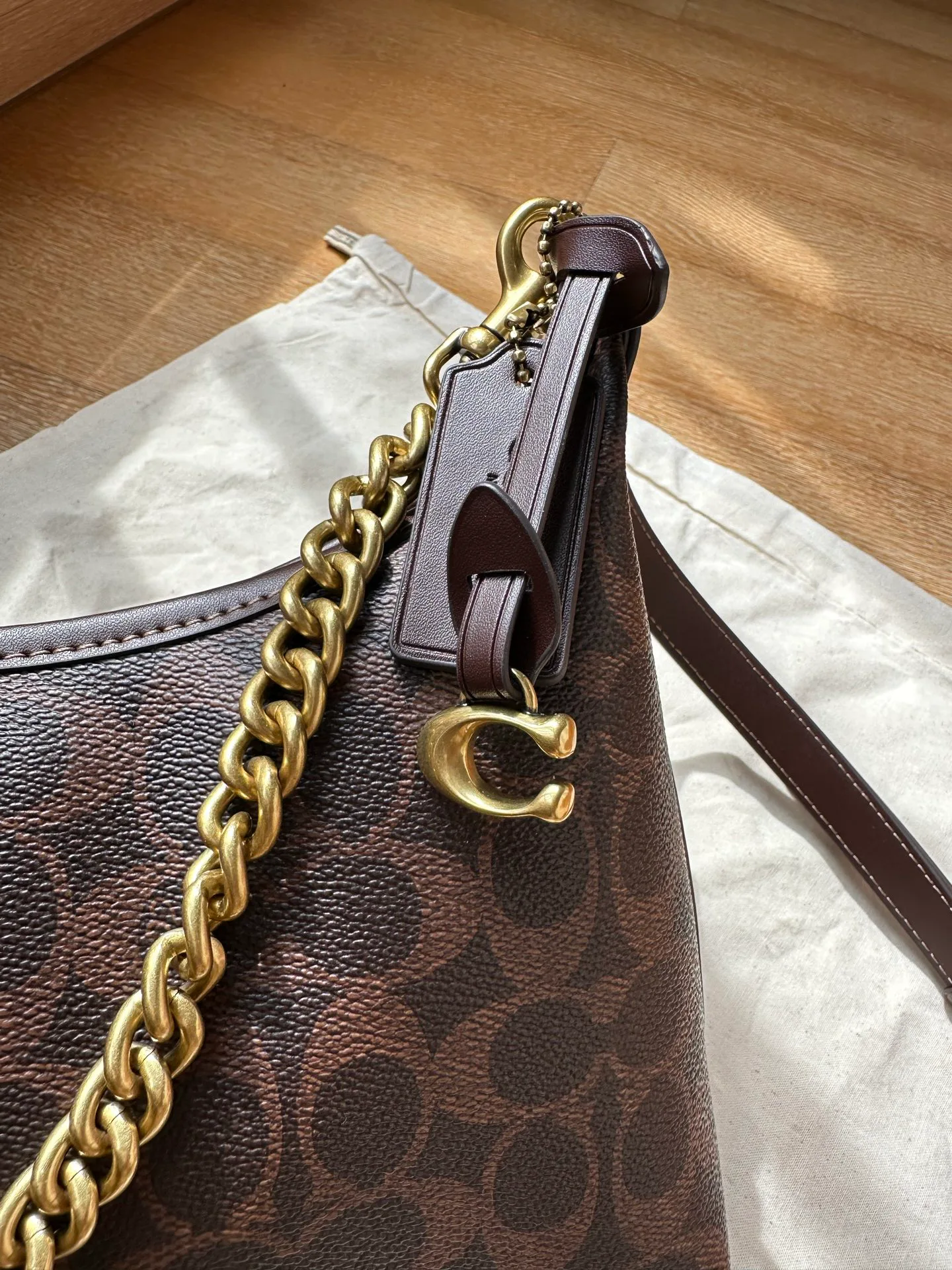 Women's Classic Handbags COACH 17961059