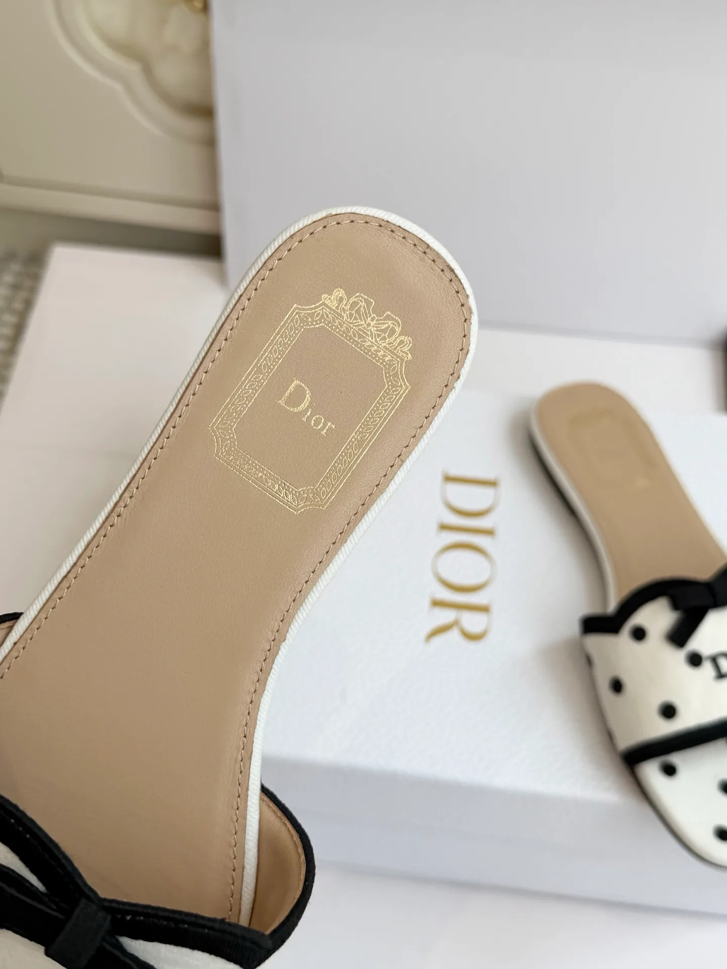 Women's Mules And Clogs CHRISTIAN DIOR 18224044