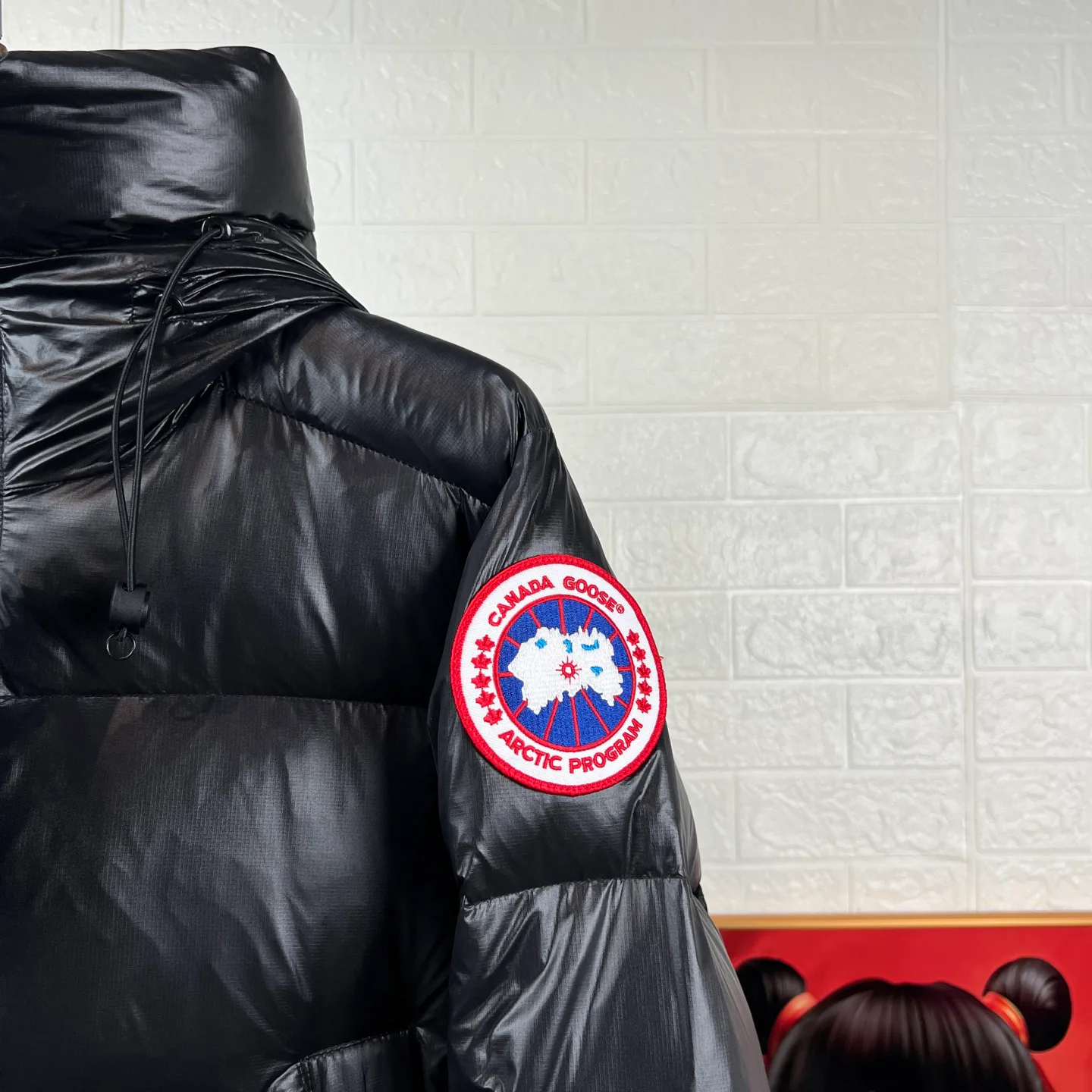 Women's Jackets And Down Jackets CANADA GOOSE 17897324