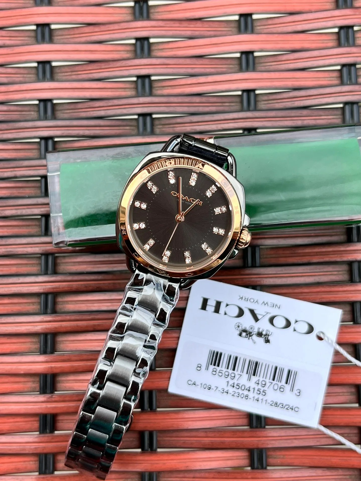 Women's Watches COACH 17873078