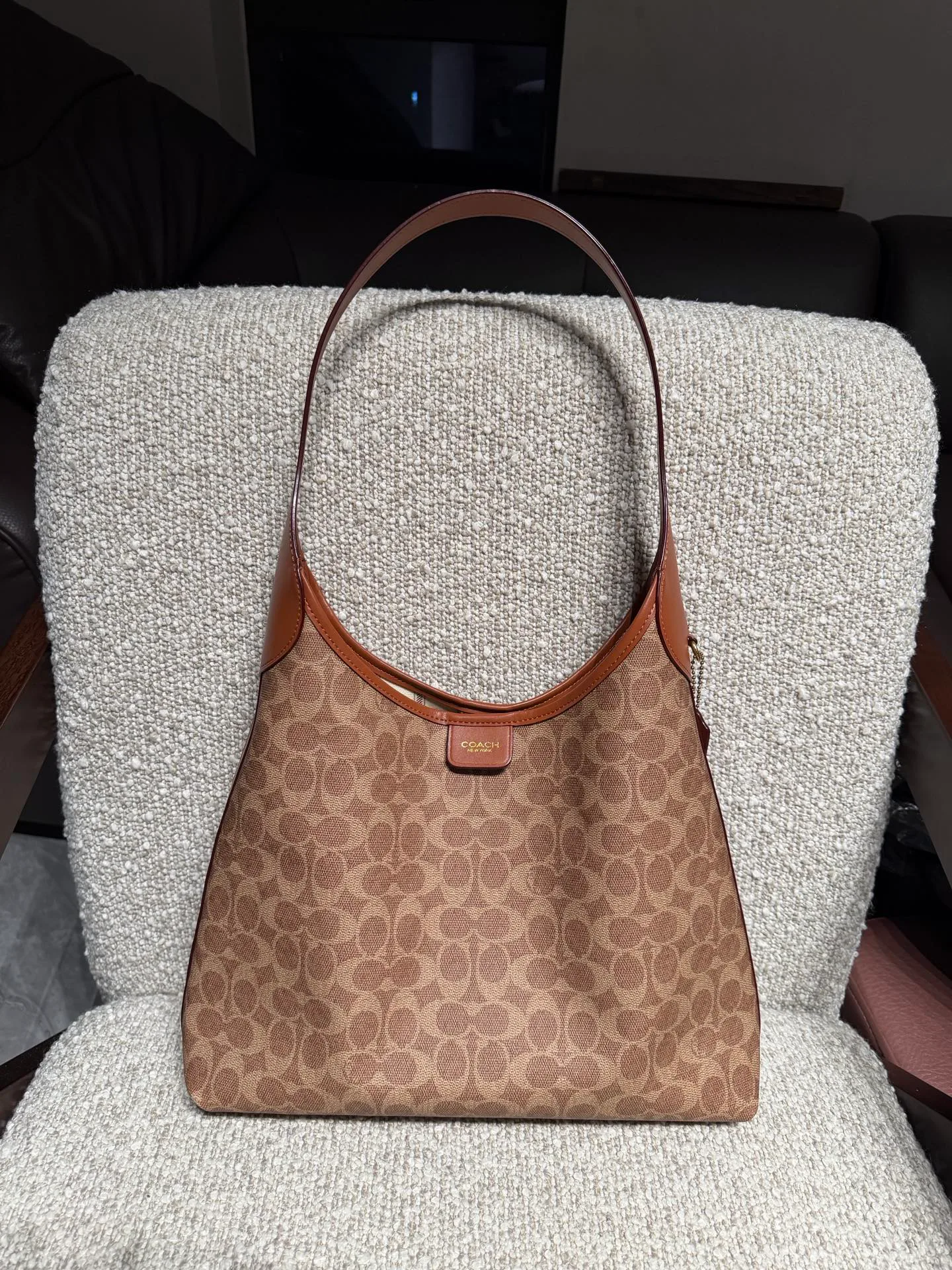 Women's Classic Handbags COACH 17873073