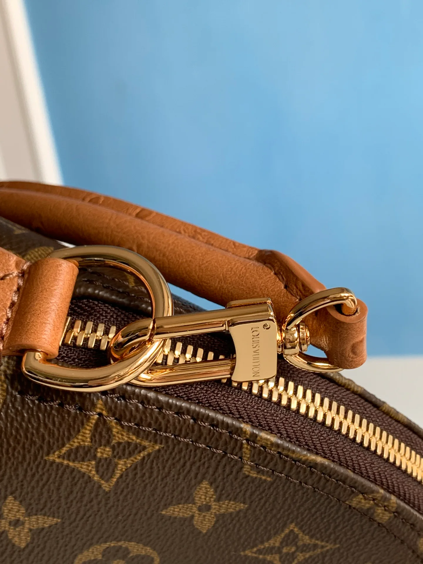 Women's Classic Handbags LOUIS VUITTON 17611238