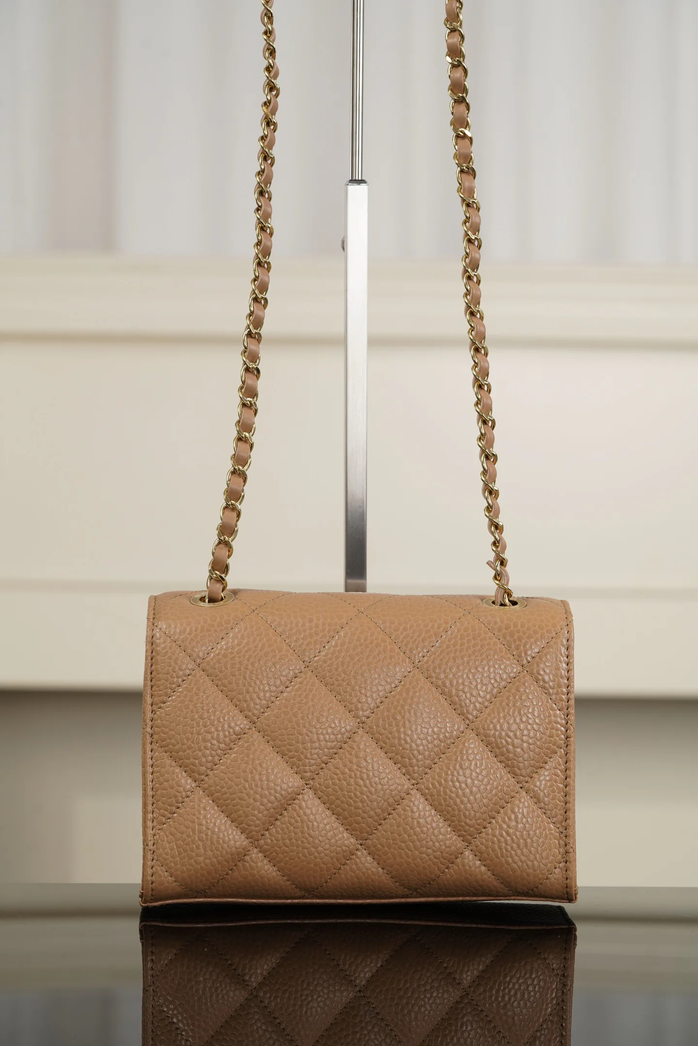 Women's Classic Handbags CHANEL 17979640