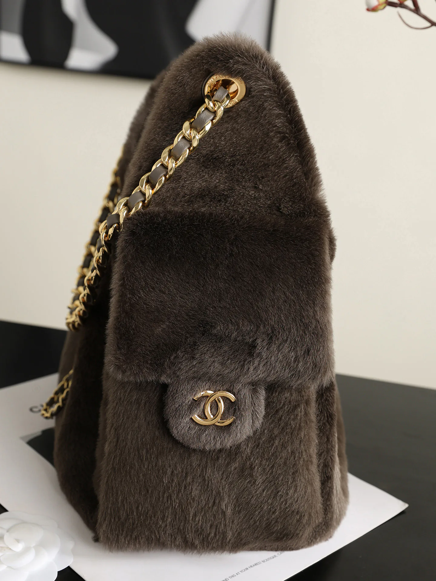 Women's Classic Handbags CHANEL 18000322