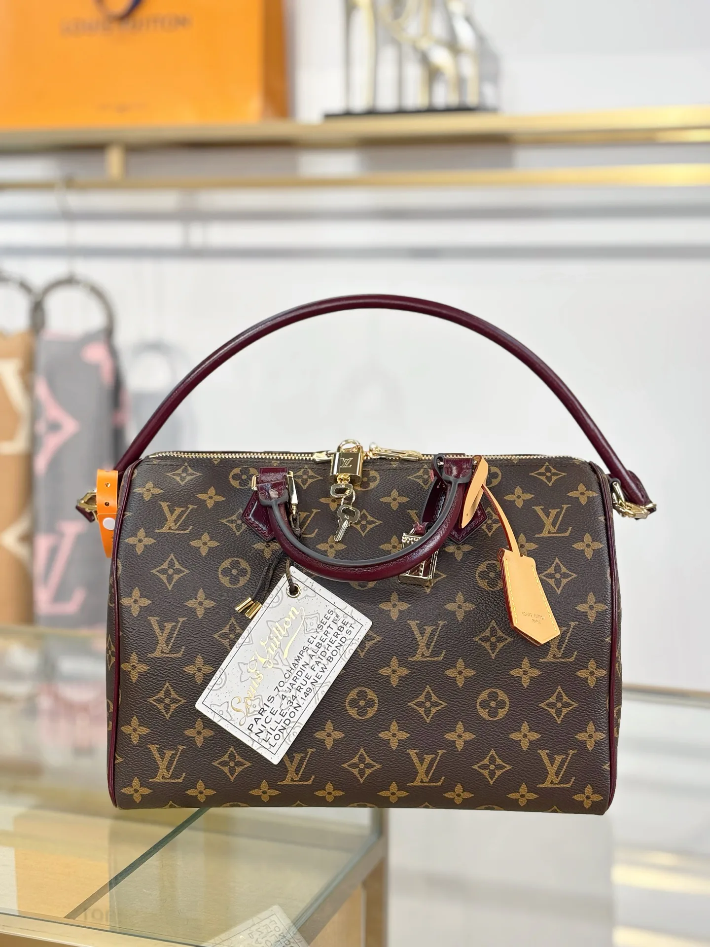 Women's Classic Handbags LOUIS VUITTON 17979980